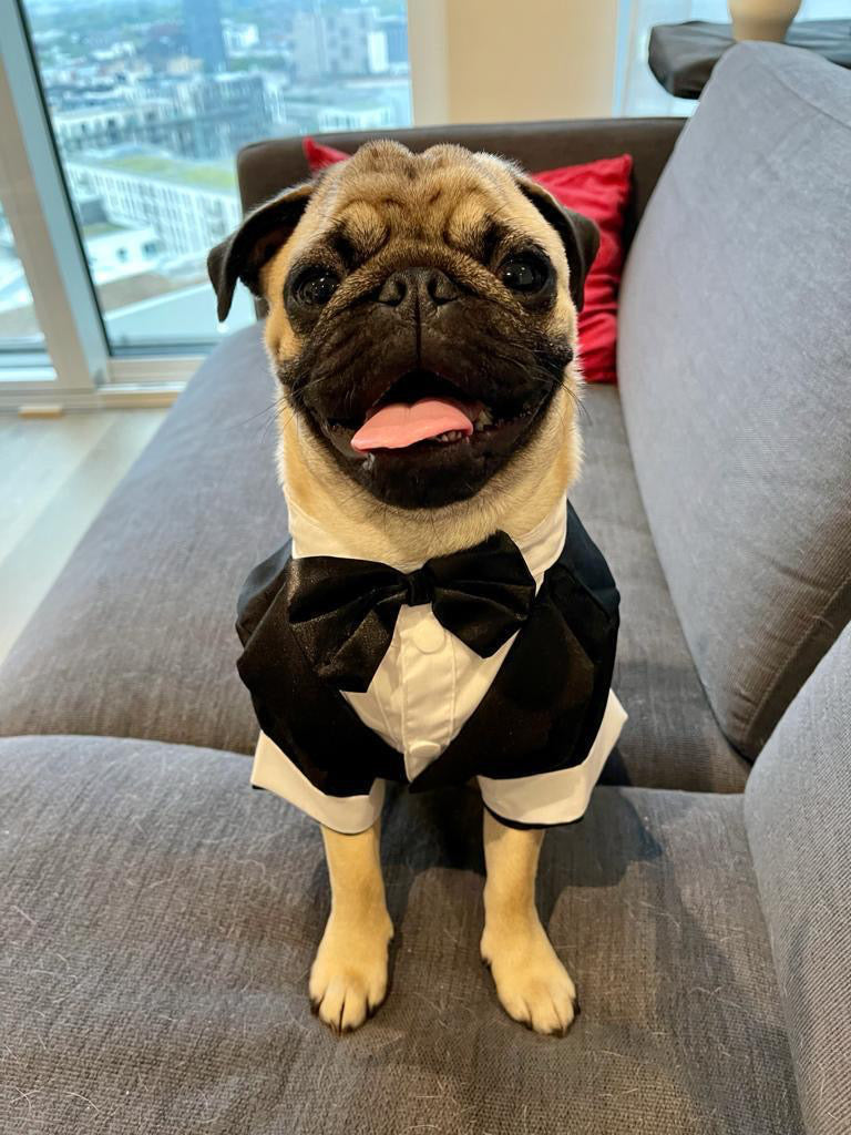 ‘Suit up!’ Black Tie Tuxedo