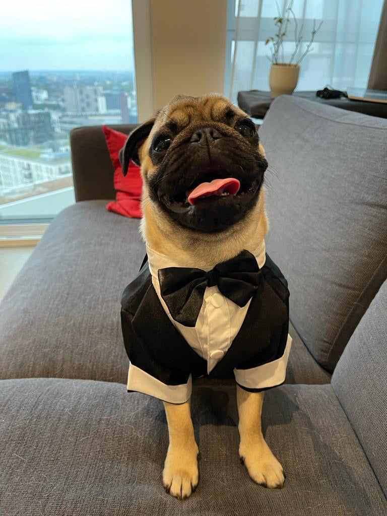 ‘Suit up!’ Black Tie Tuxedo