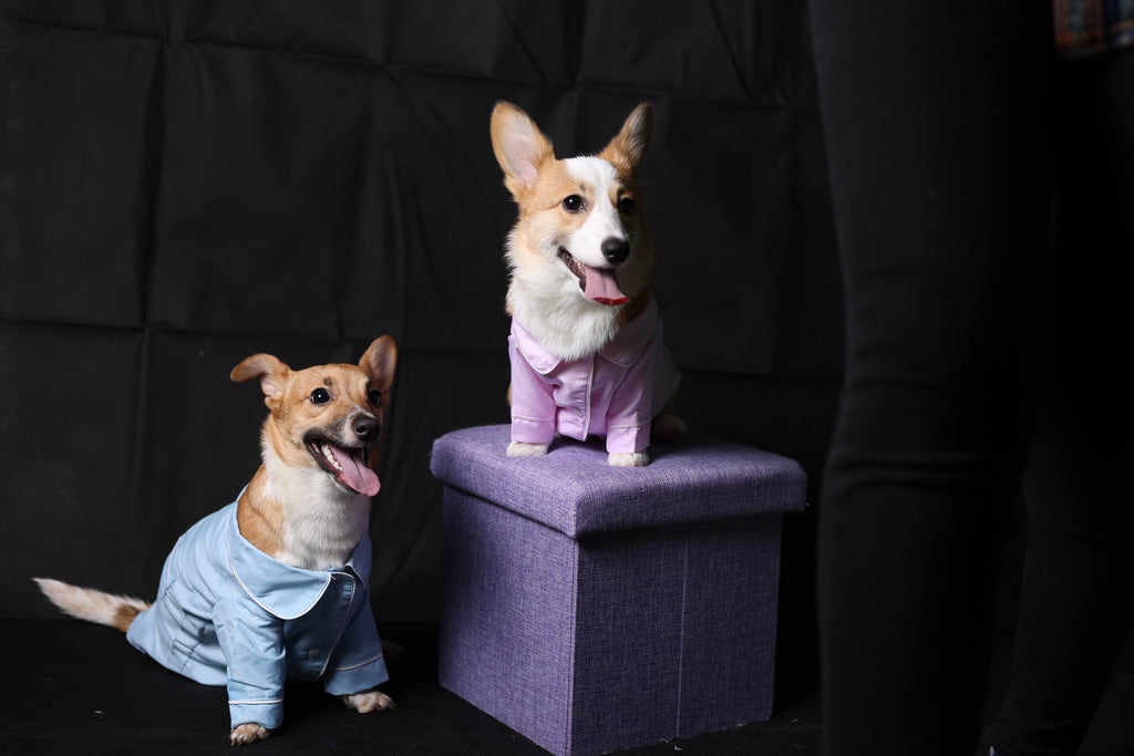 Model FaFa and Noah Wearing Pawjama