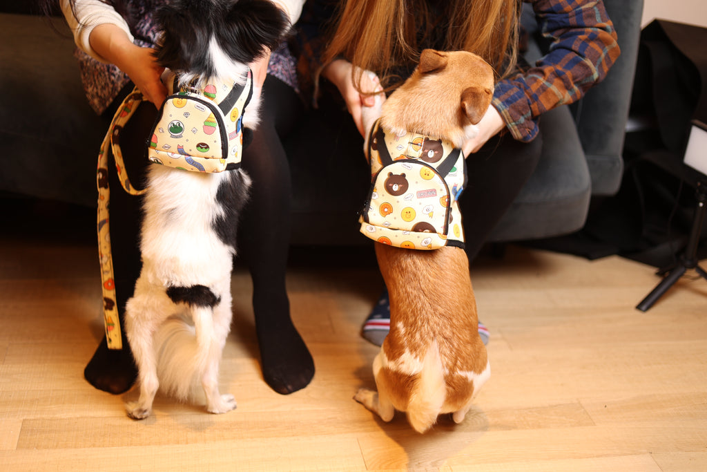 Cartoon Character Harness and Leash Set