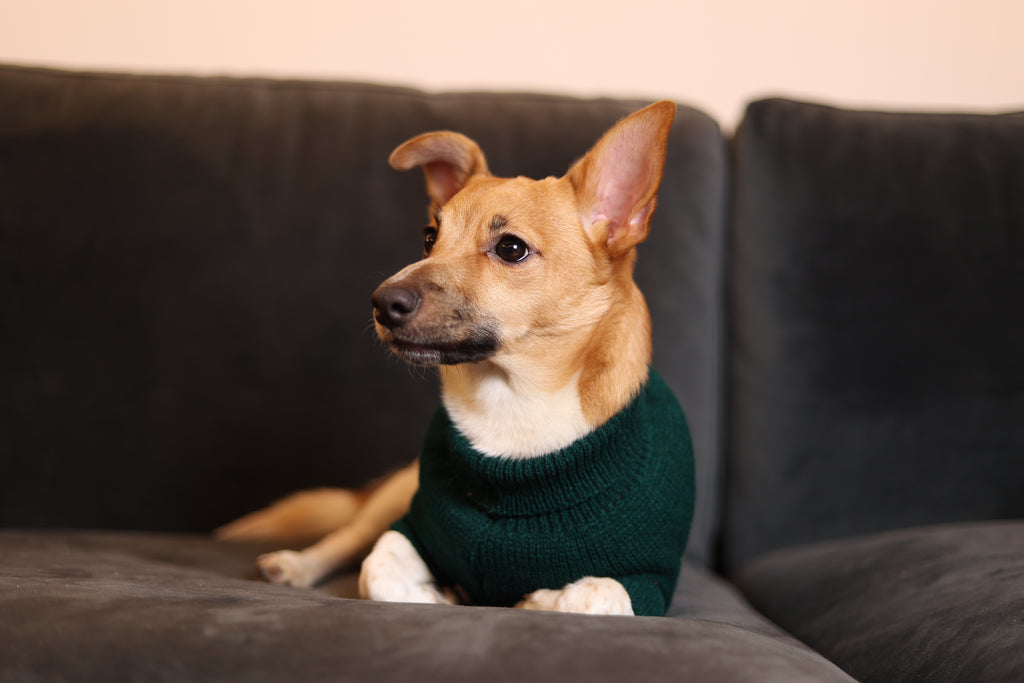 Model Noah Wearing Check Print Jumper