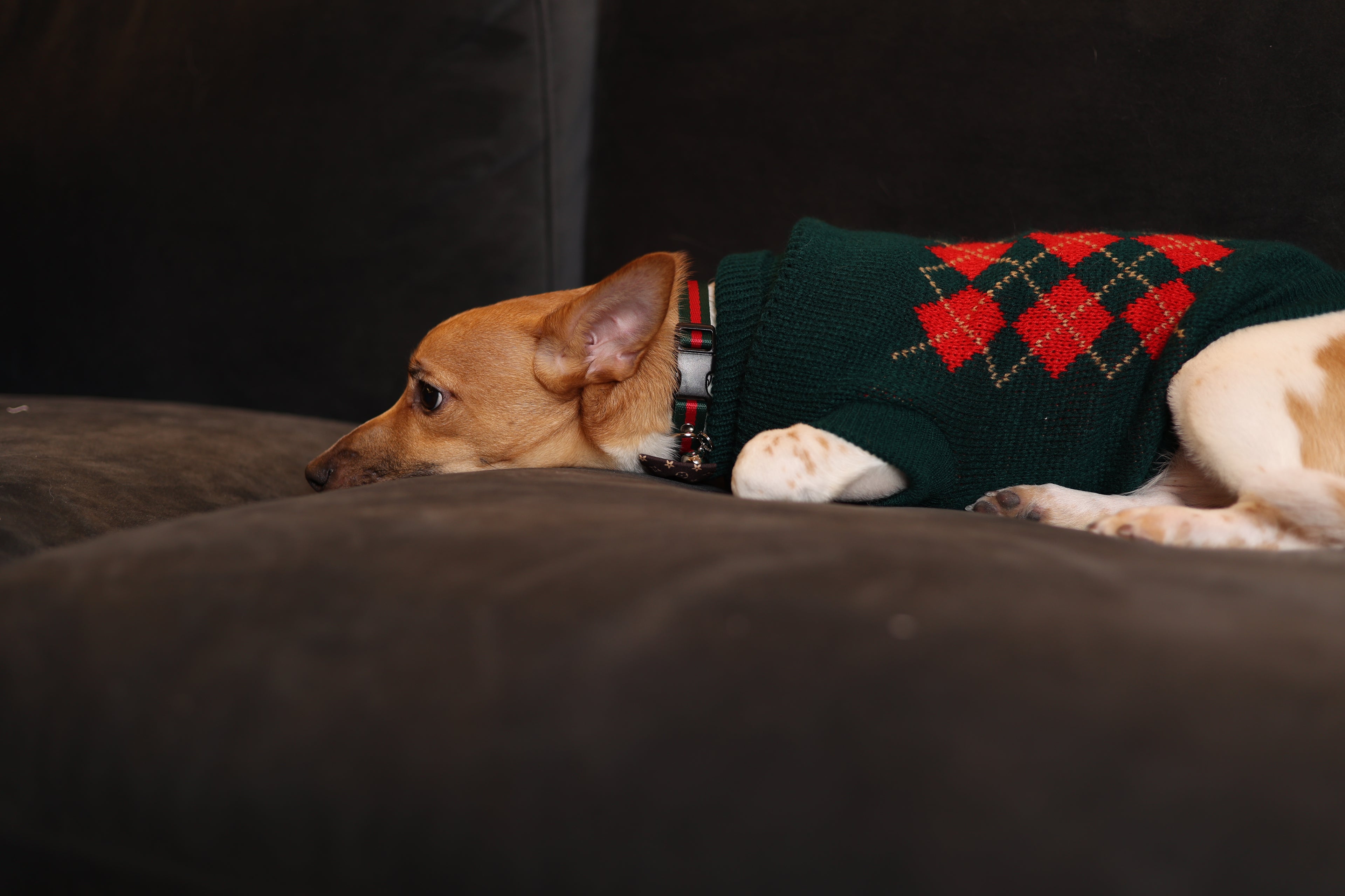 Model Noah Wearing Check Print Jumper