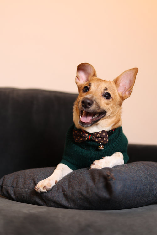 Model Noah Wearing Check Print Jumper