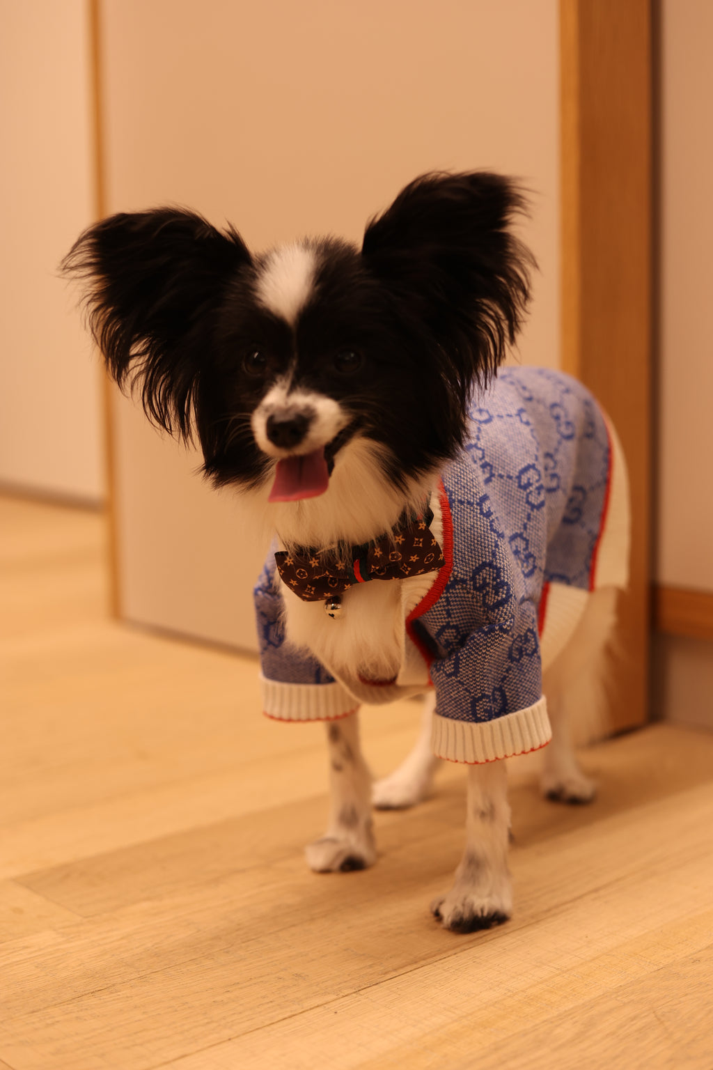 Designer Knitted Blue Cardigan