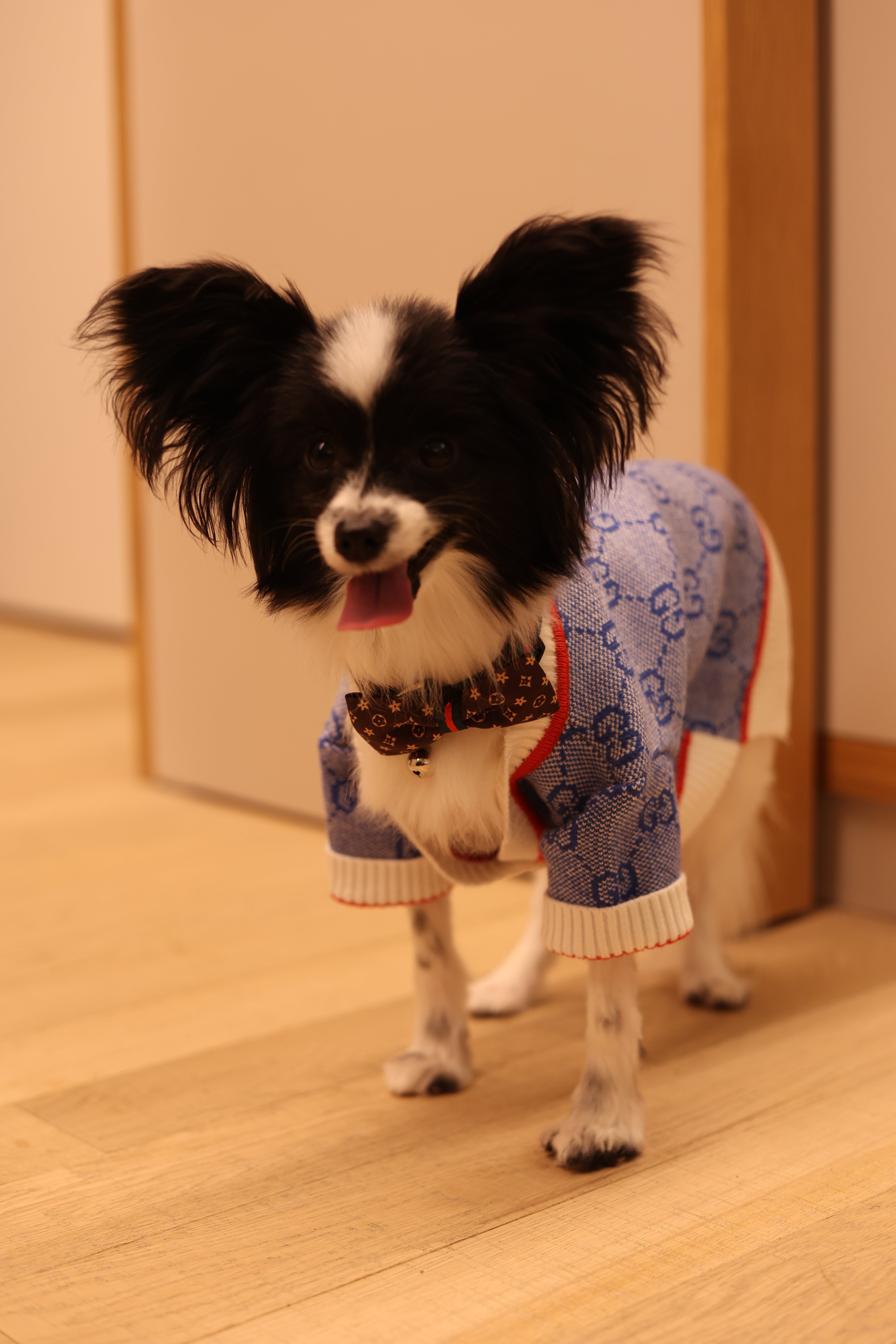 Designer Knitted Blue Cardigan
