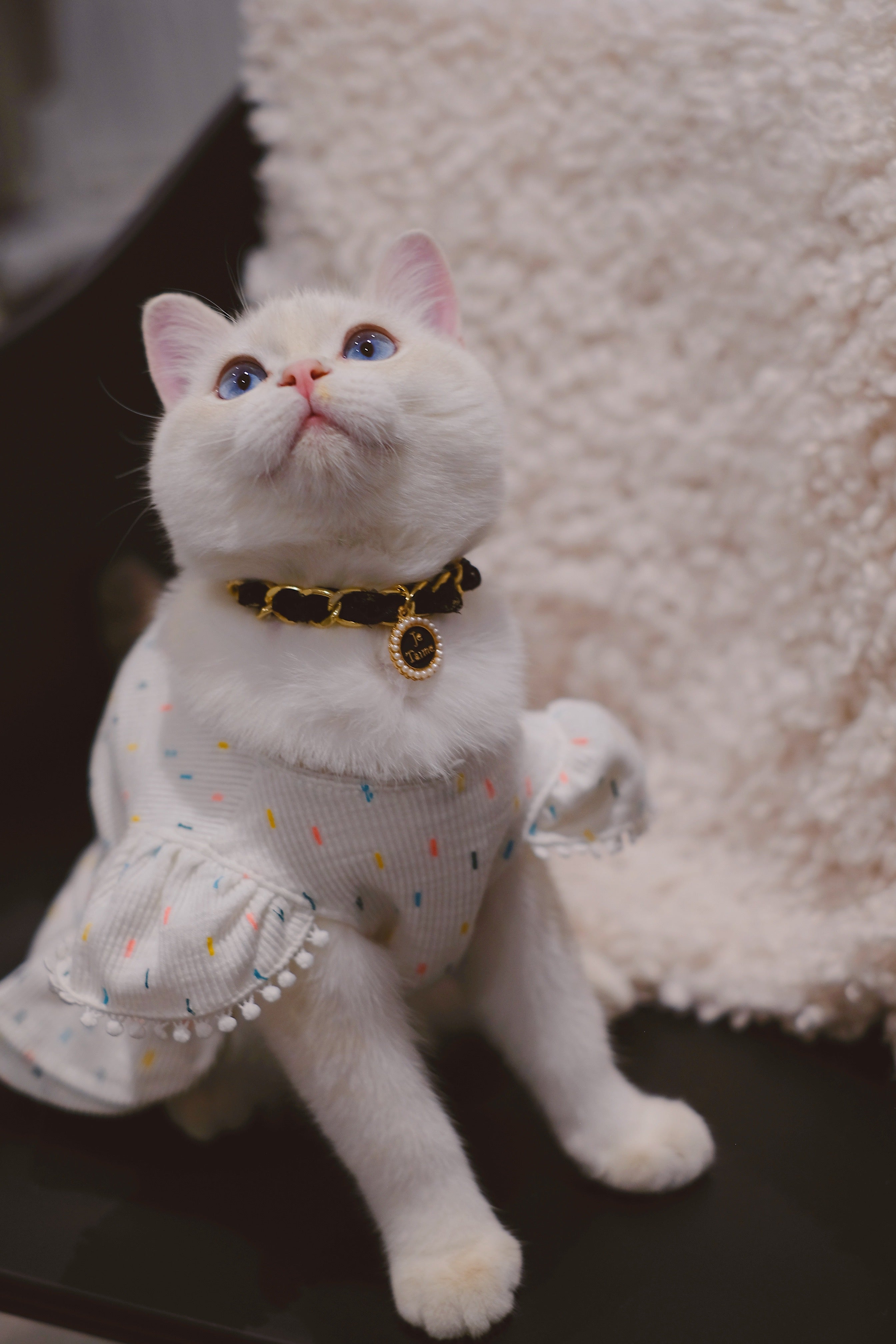Colour Dot White Dress with Puff Sleeve