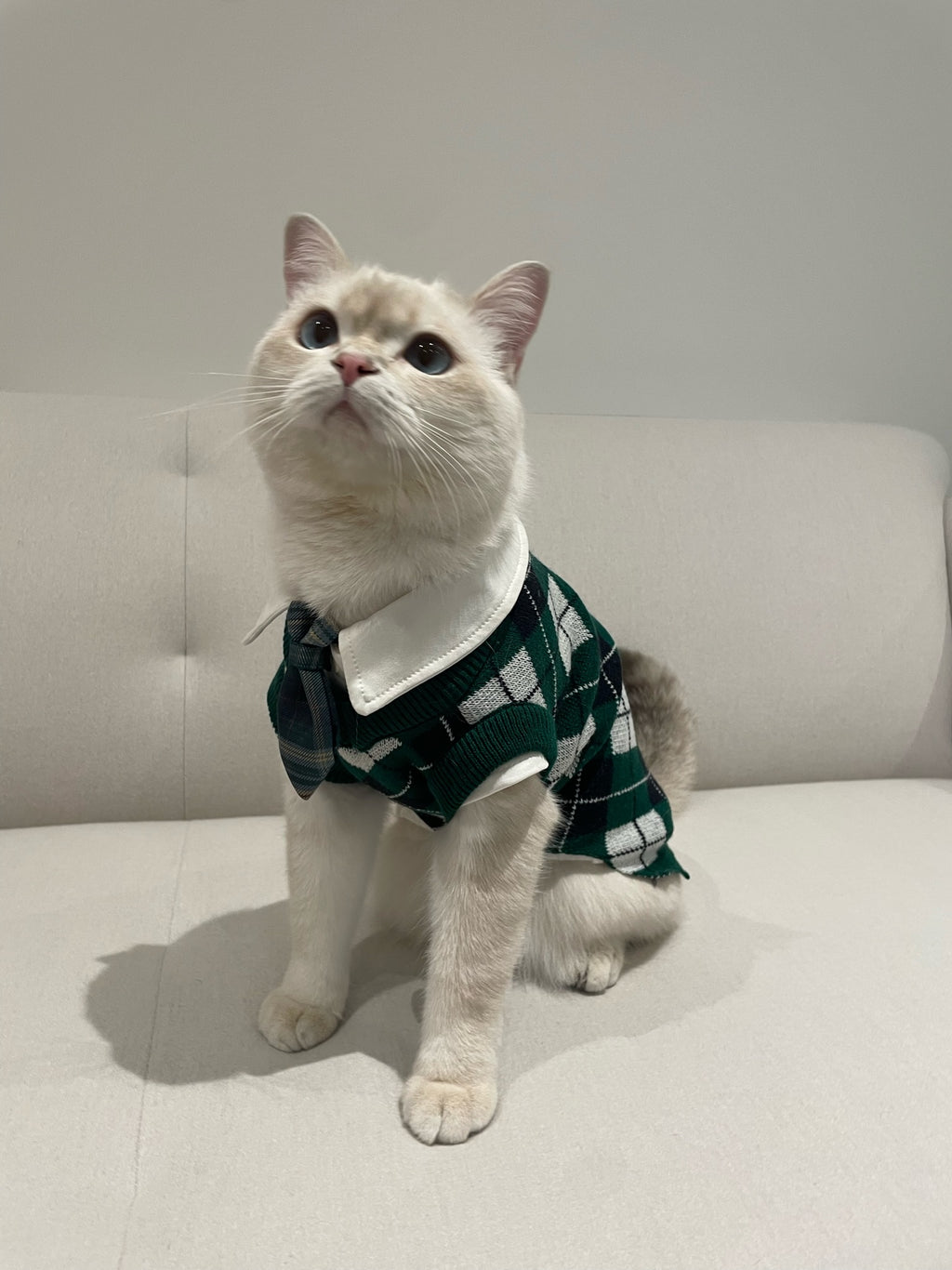 School Uniform | Harry Potter Jumper for Cats & Dogs