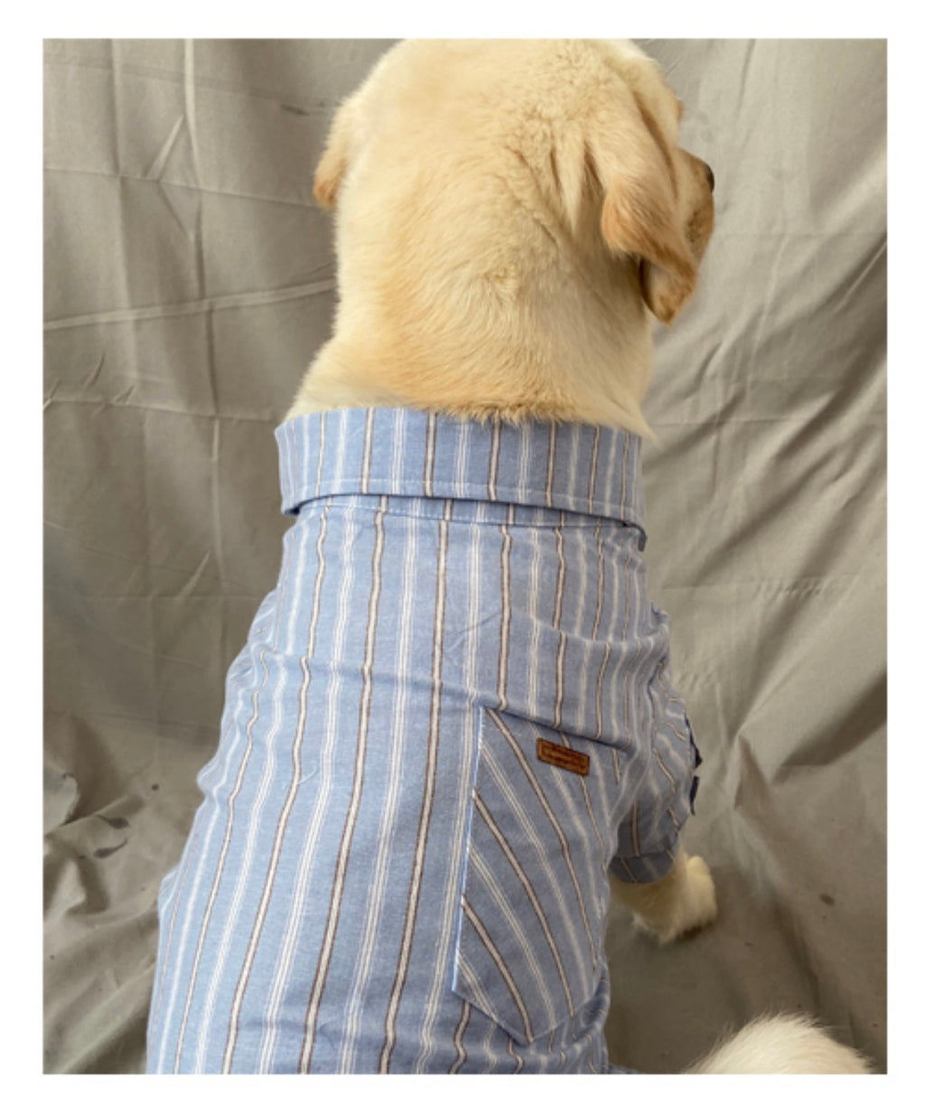 Linen Mix Shirt with Blue Stripe