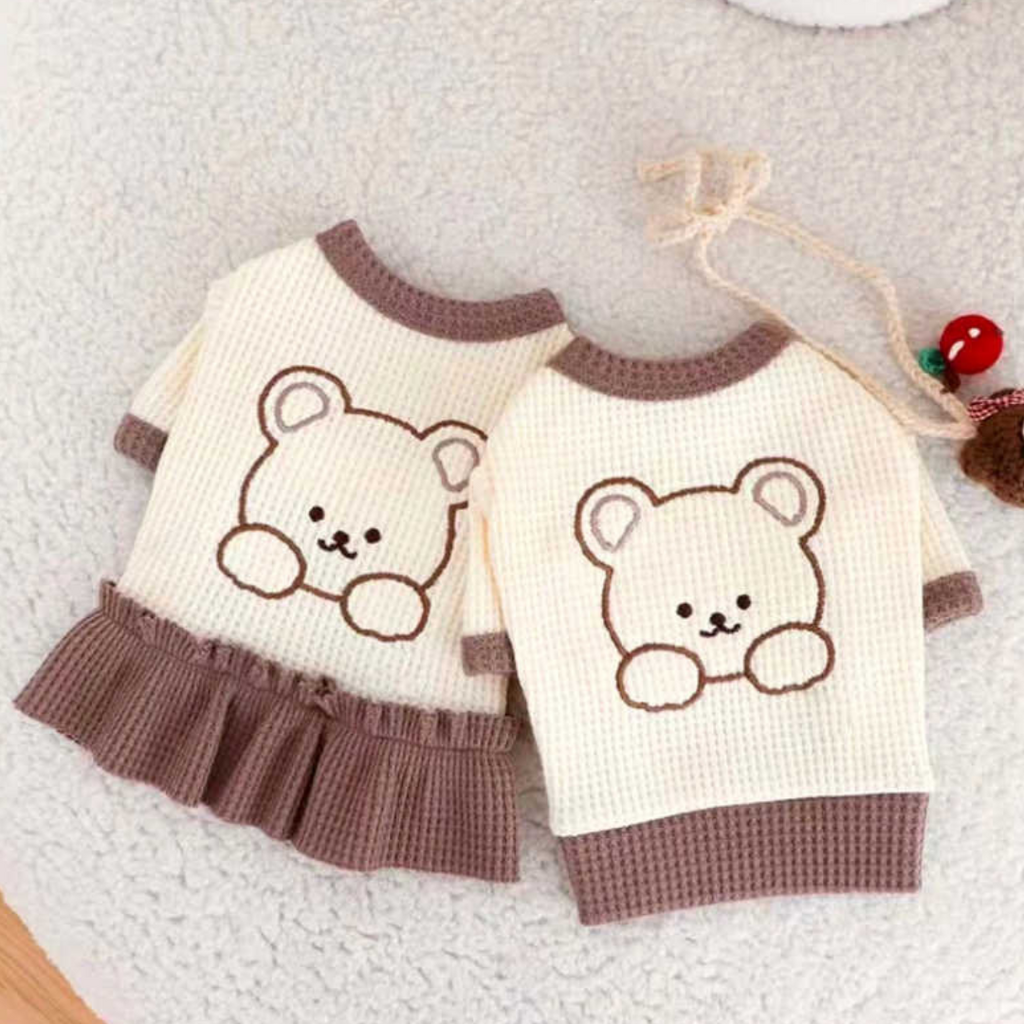 Teddy Bear T-Shirt & Dress