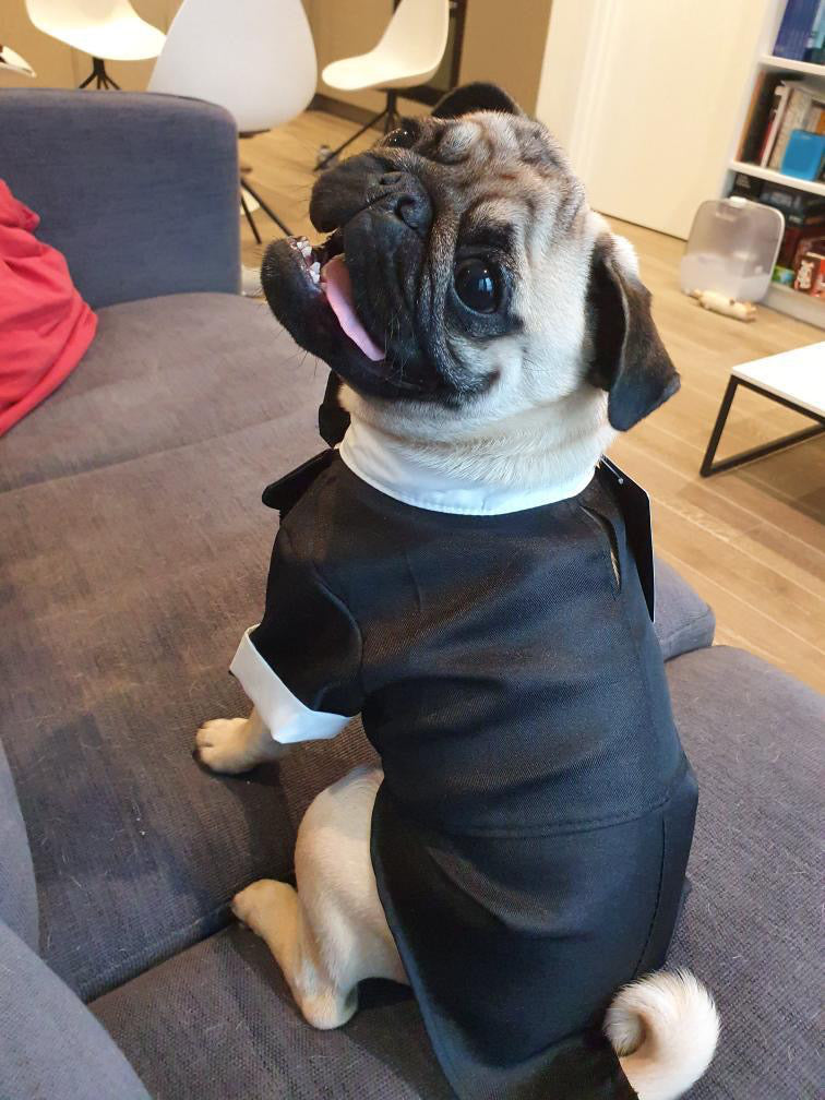 ‘Suit up!’ Black Tie Tuxedo