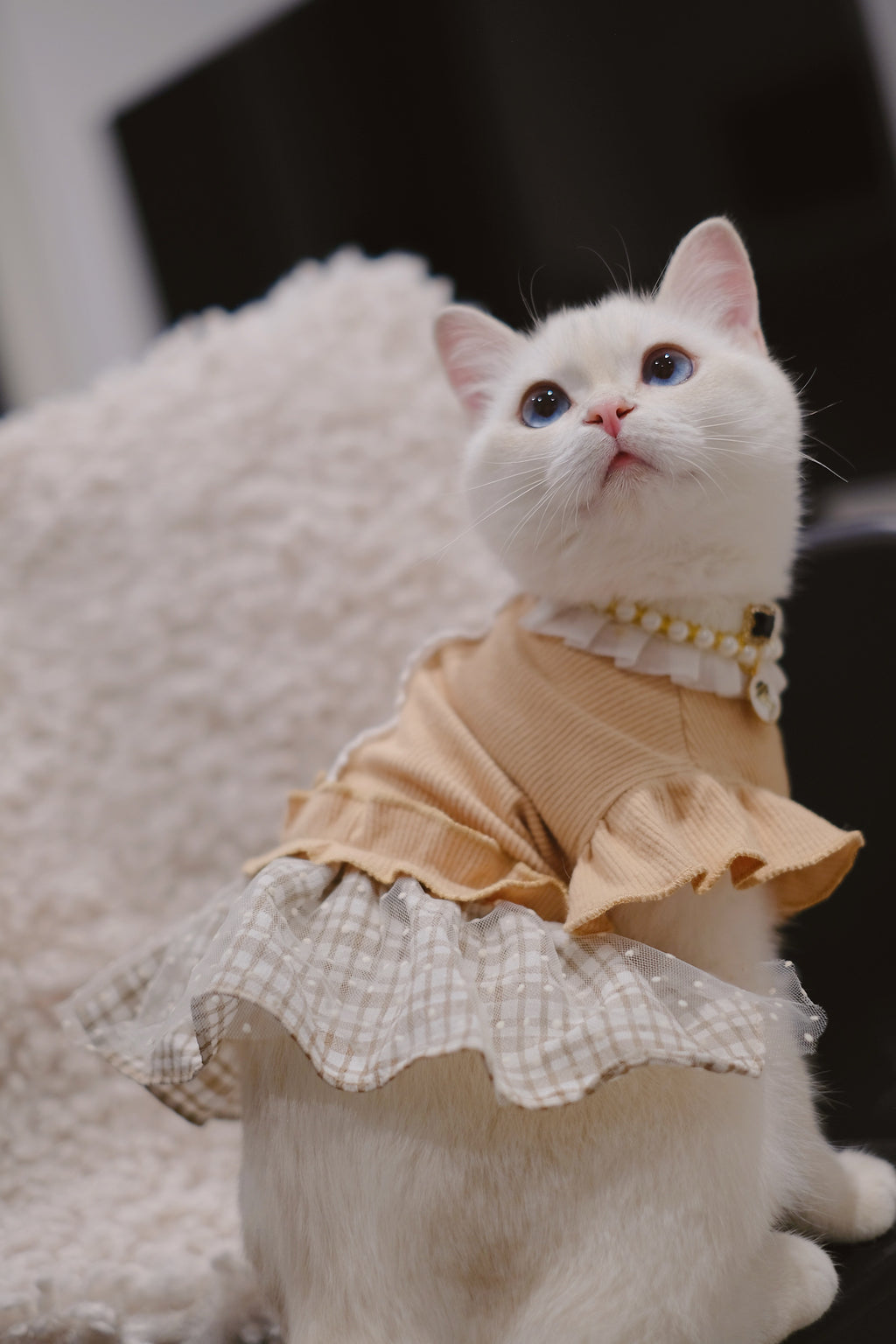 French Lace Falbala Dress