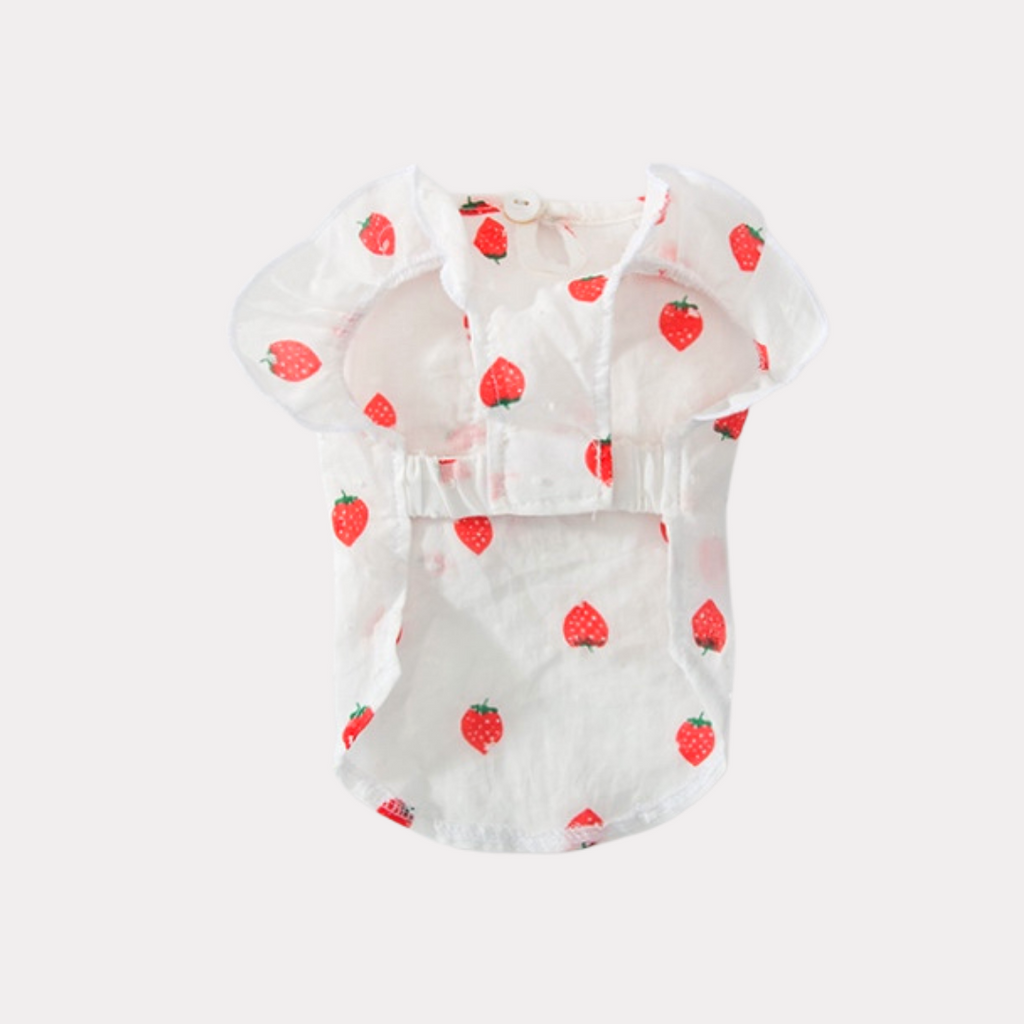 Strawberry Summer Dress