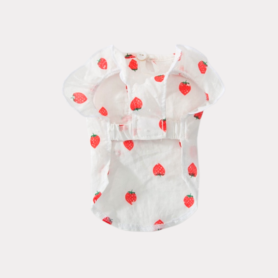 Strawberry Summer Dress