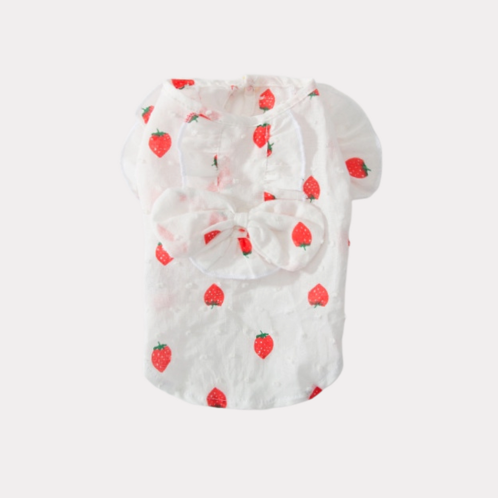 Strawberry Summer Dress