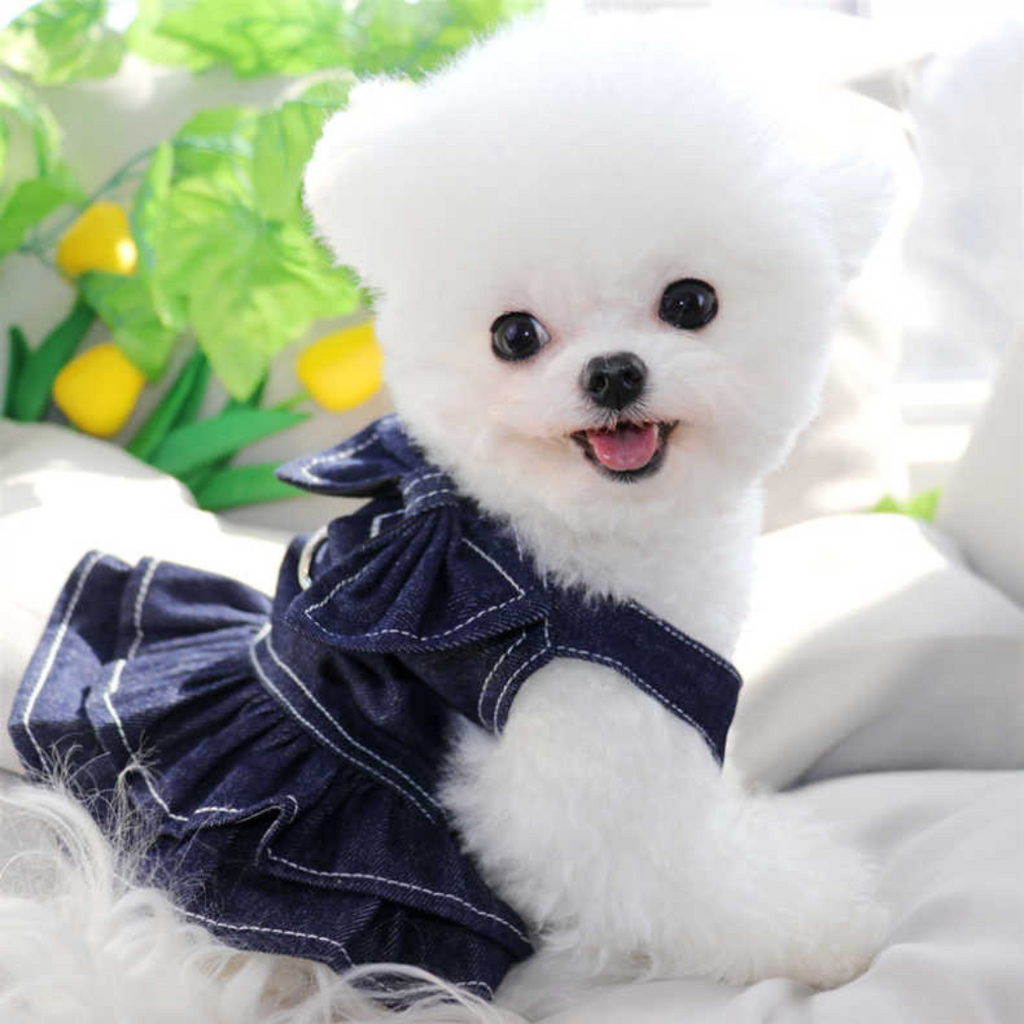 The Denim Bow Tie Harness Shirt/Dress Couple Collection For Small Dogs