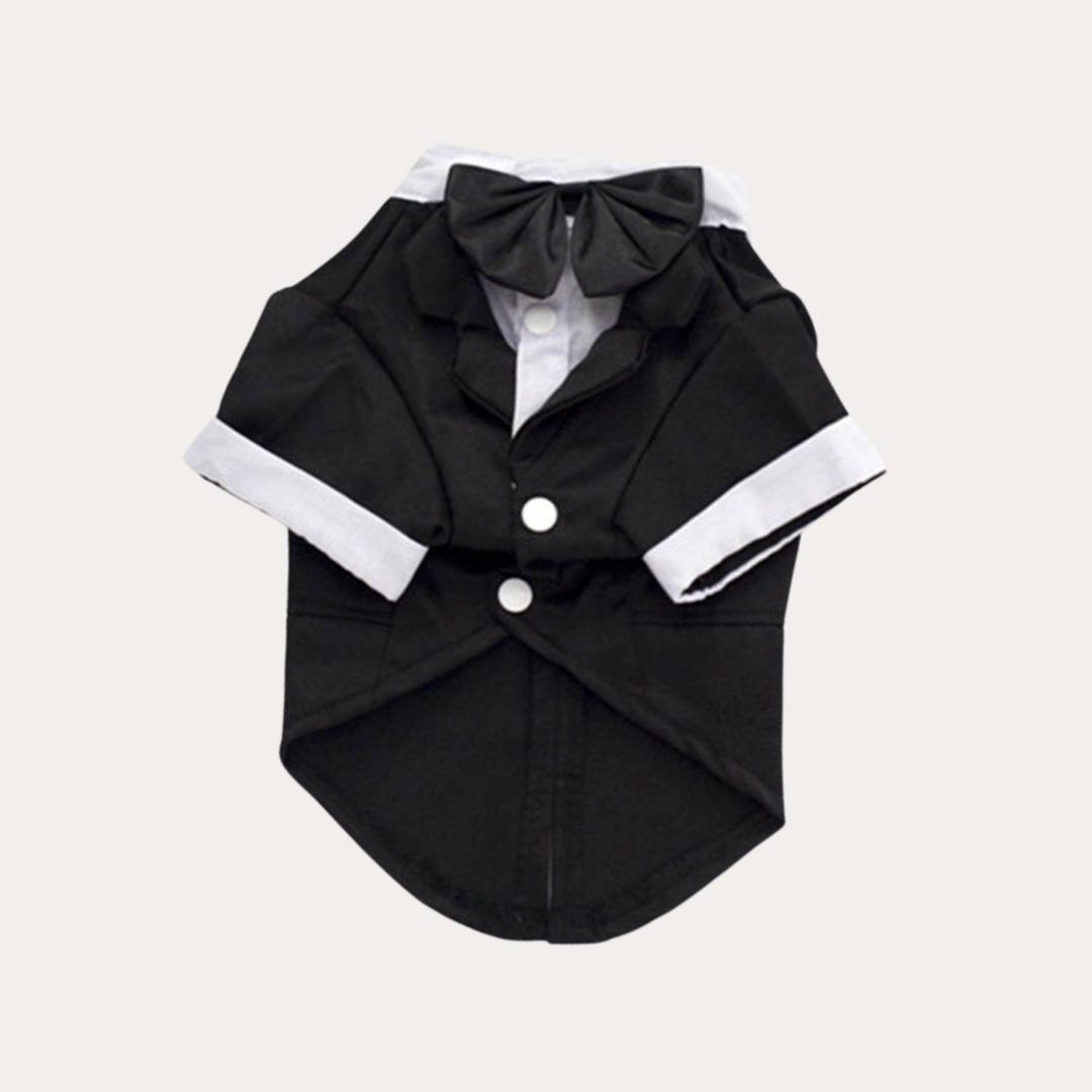 ‘Suit up!’ Black Tie Tuxedo