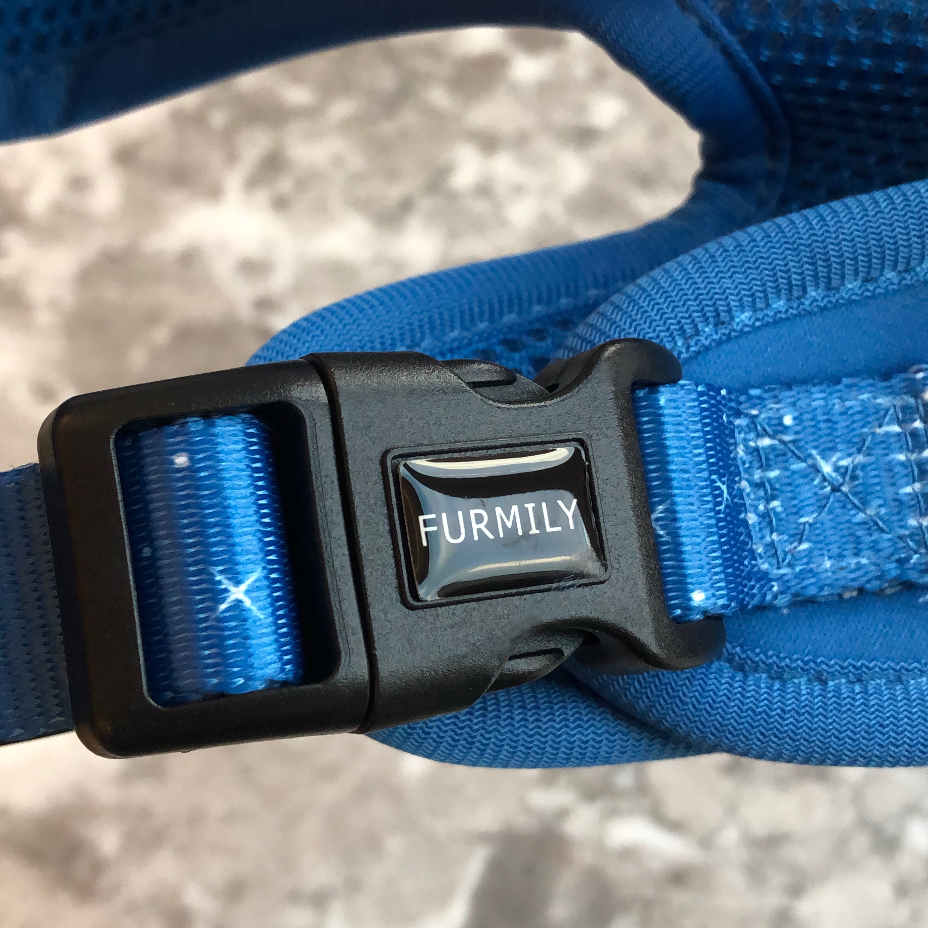 Walk Essentials | "City of Stars"