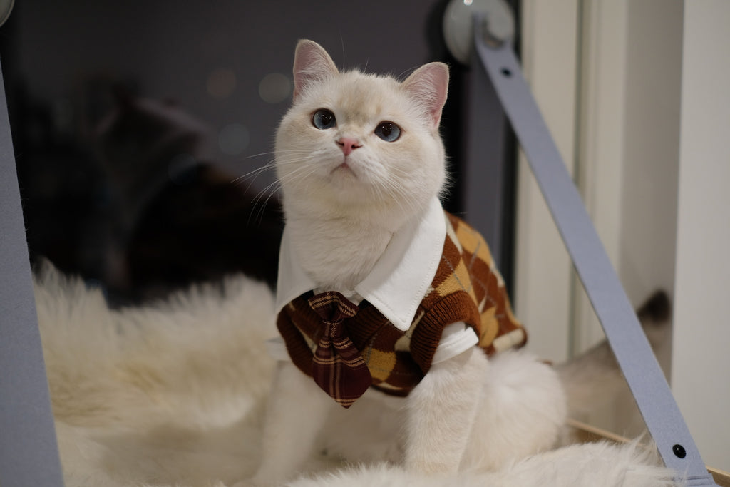 School Uniform | Harry Potter Jumper for Cats & Dogs