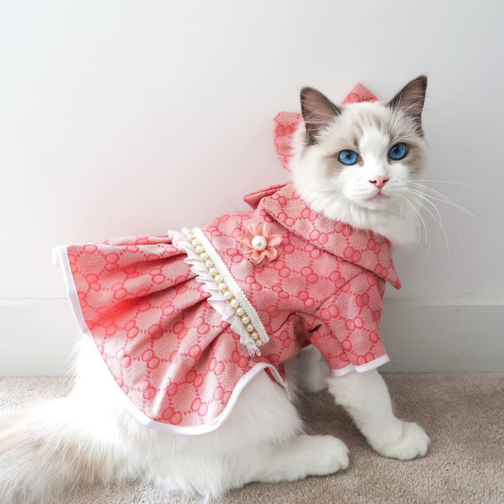 Clothing for cats to wear online