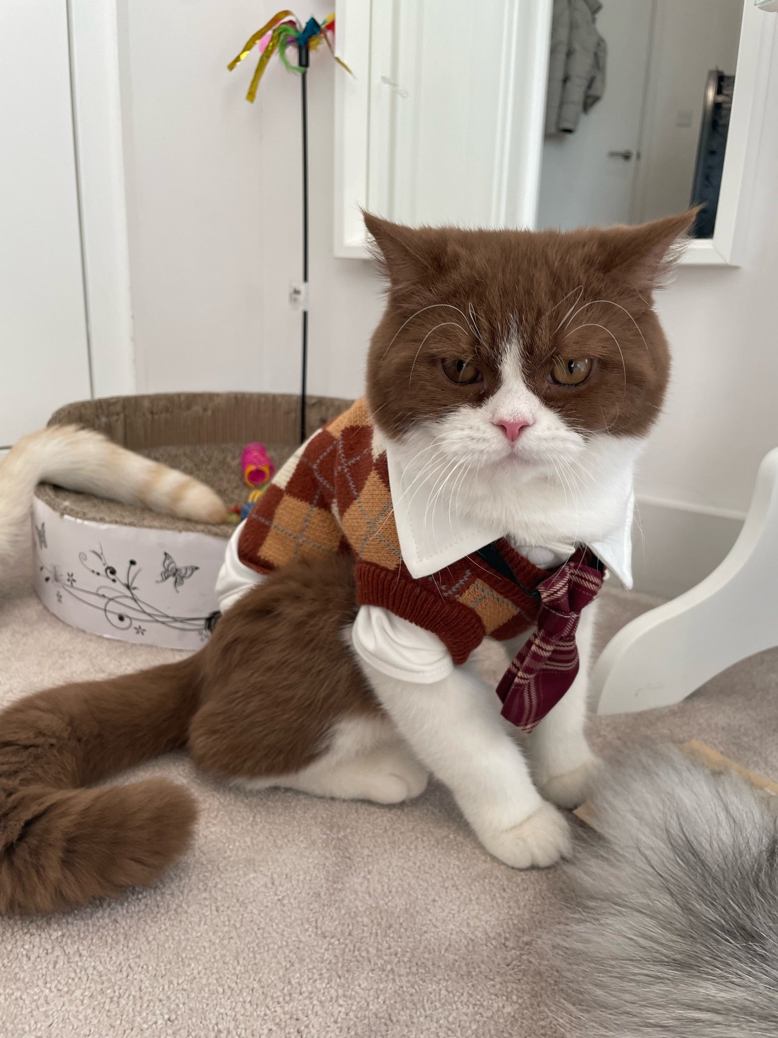 School Uniform | Harry Potter Jumper for Cats & Dogs