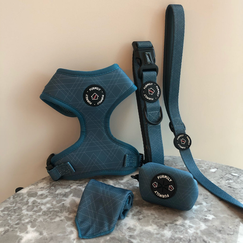 Walk Essentials | 'Try'angle