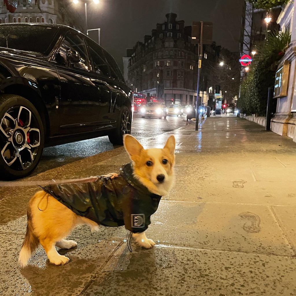 Refective Waterproof Outdoor Rain Jacket