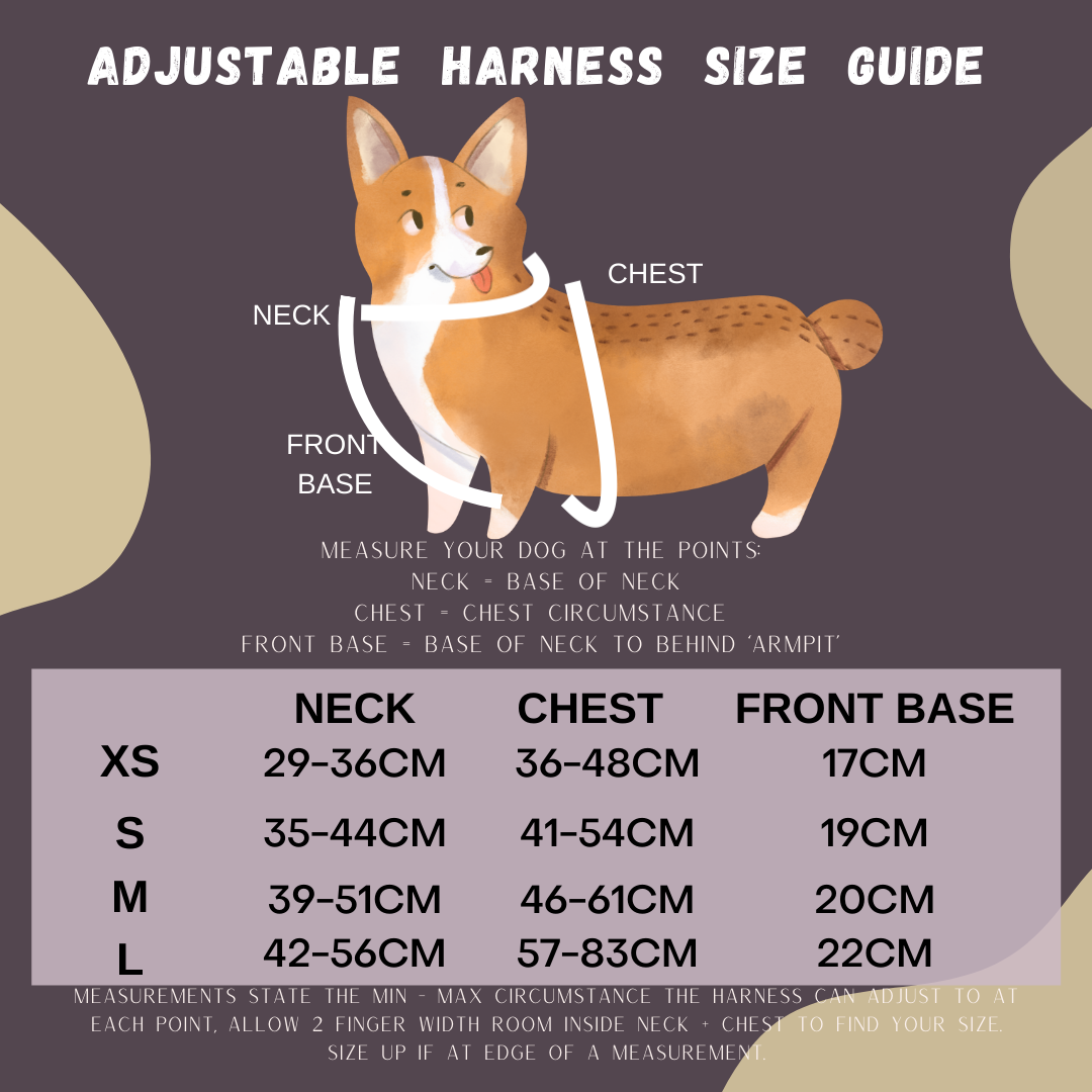 Walk Essentials | "Brush My Life" | Adjustable Harness & Lead