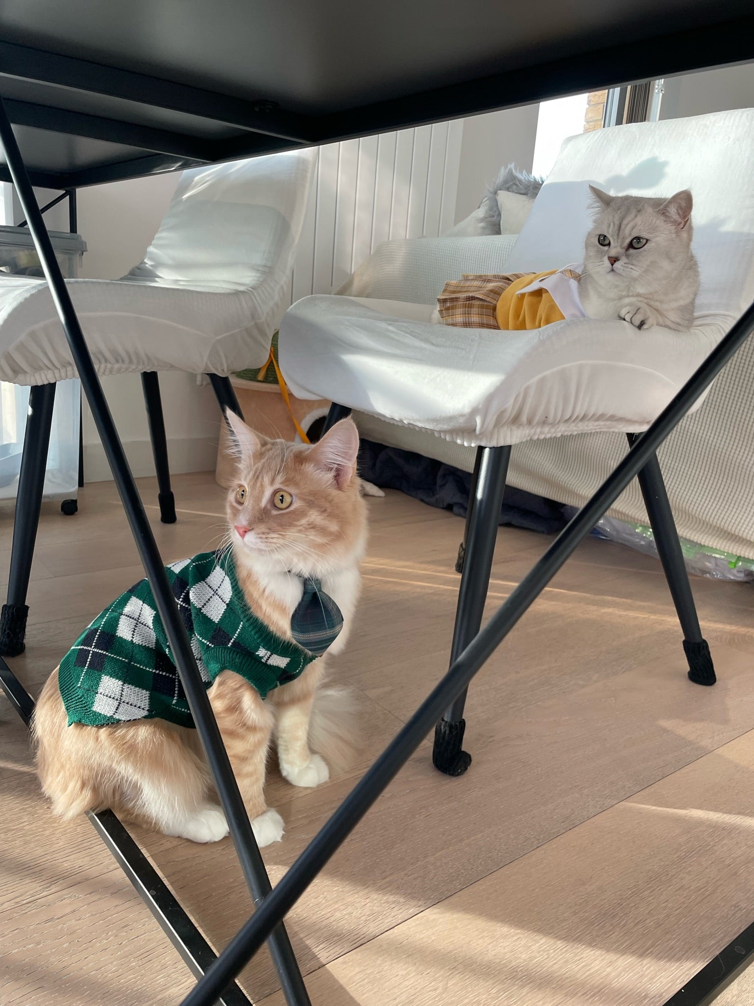 School Uniform | Harry Potter Jumper for Cats & Dogs