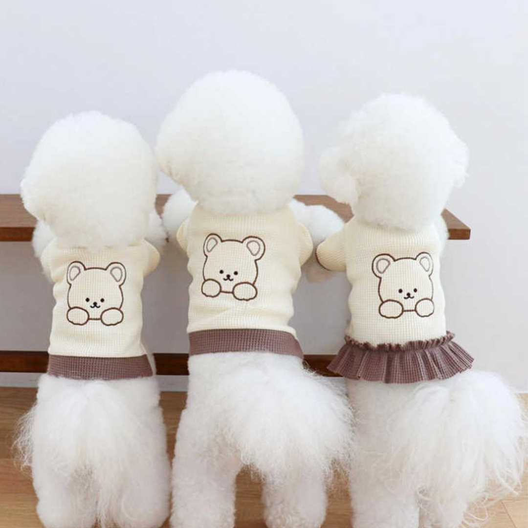 Teddy Bear T-Shirt & Dress