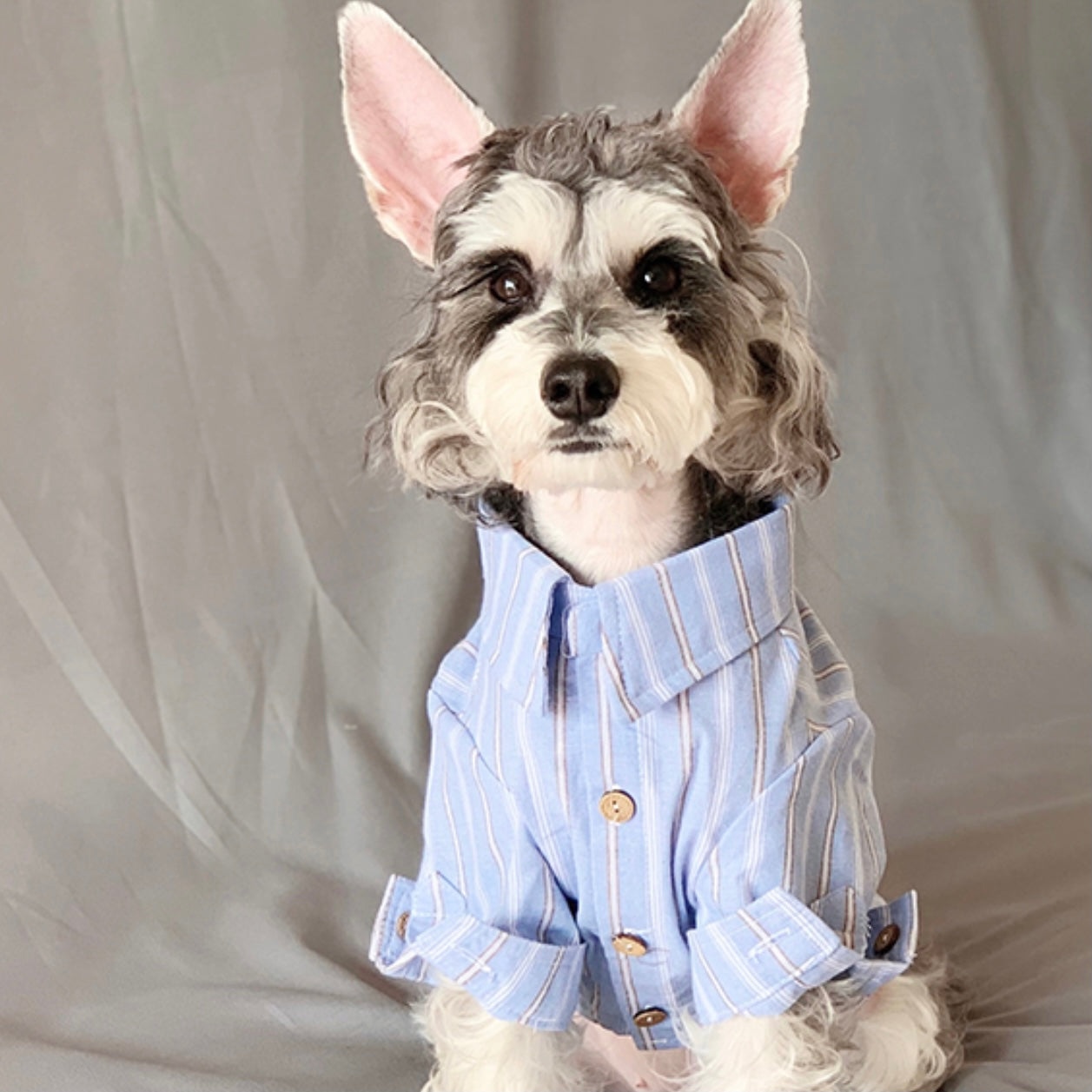 Linen Mix Shirt with Blue Stripe