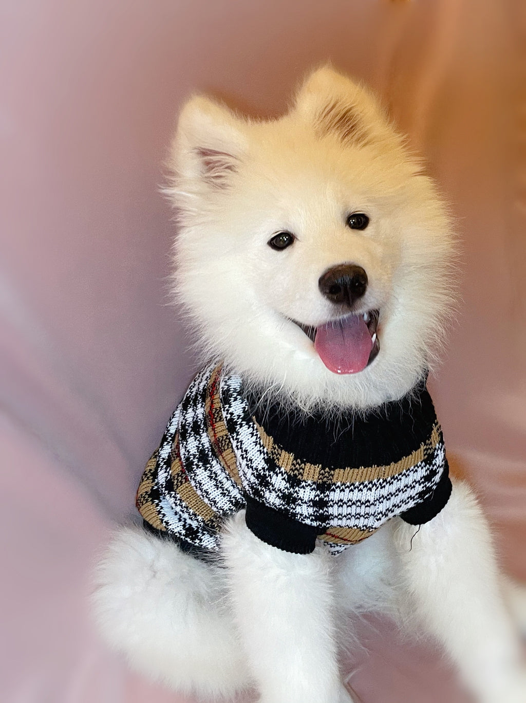 Classic Plaid Jumper