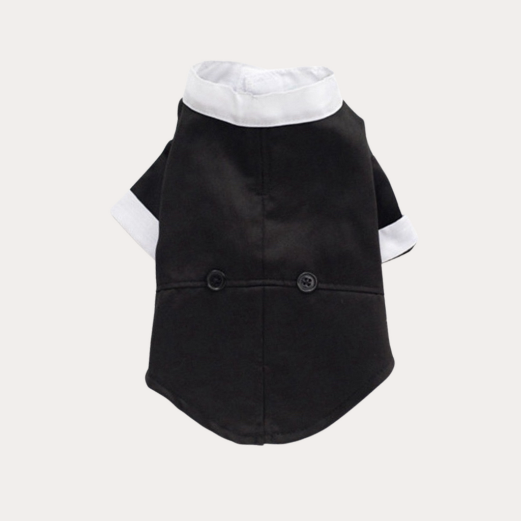 ‘Suit up!’ Black Tie Tuxedo