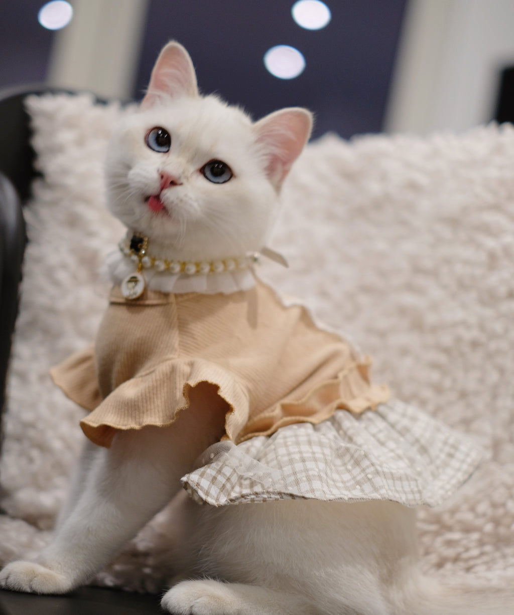 French Lace Falbala Dress