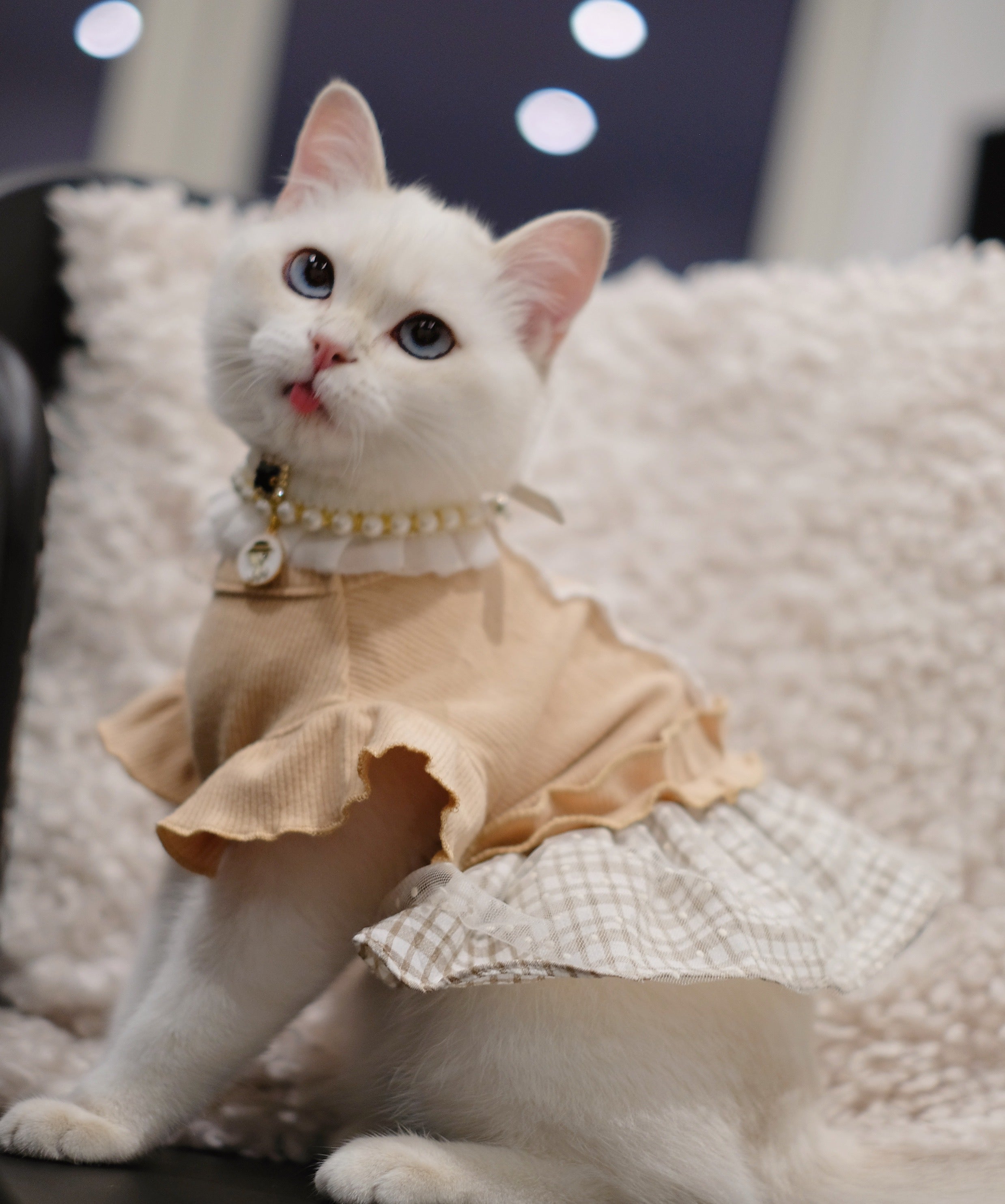 French Lace Falbala Dress
