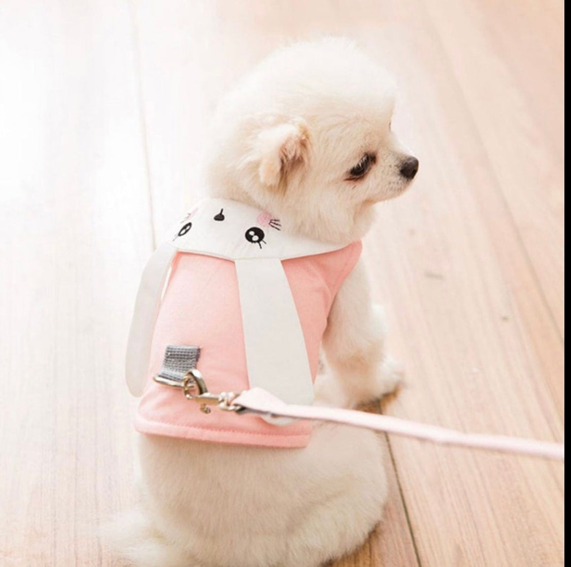 Bunny Harness and Leash Set
