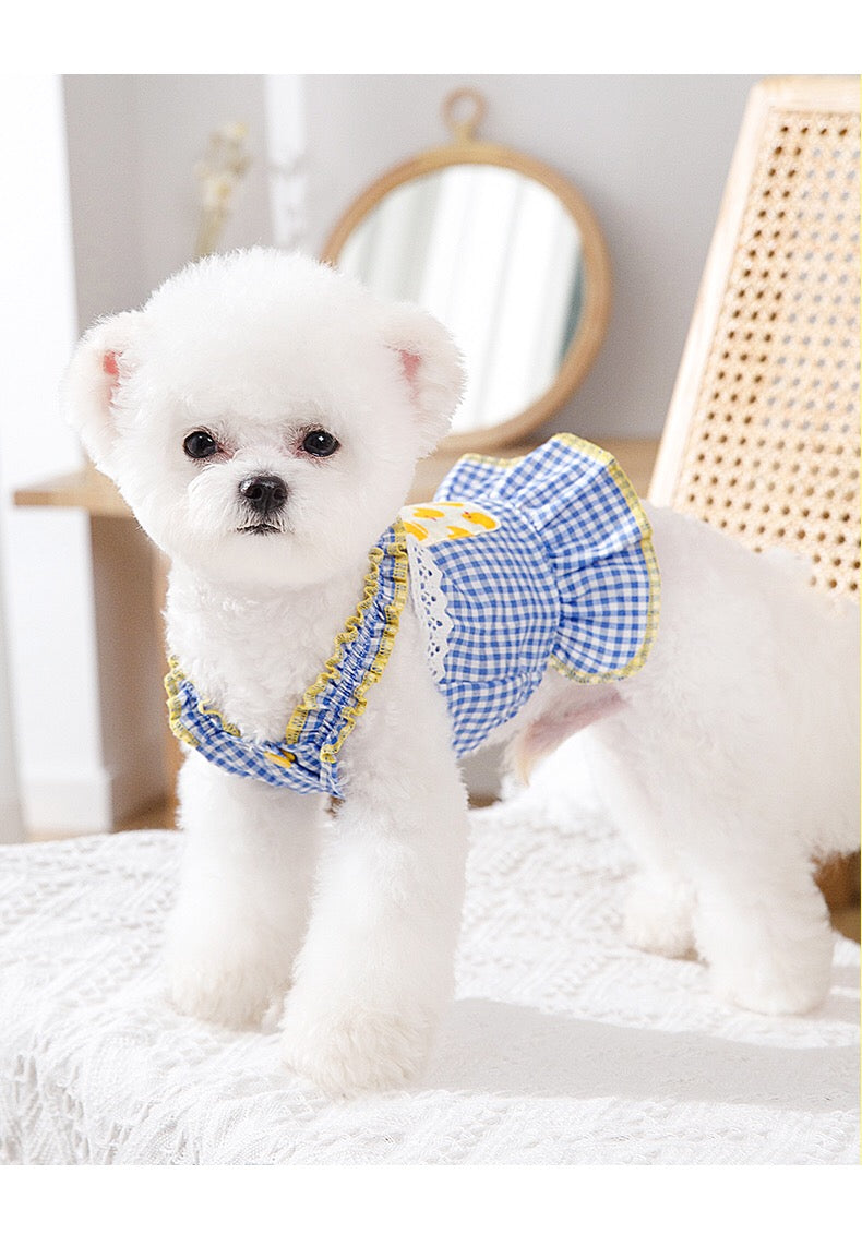 Cute Duck & Flower Apron