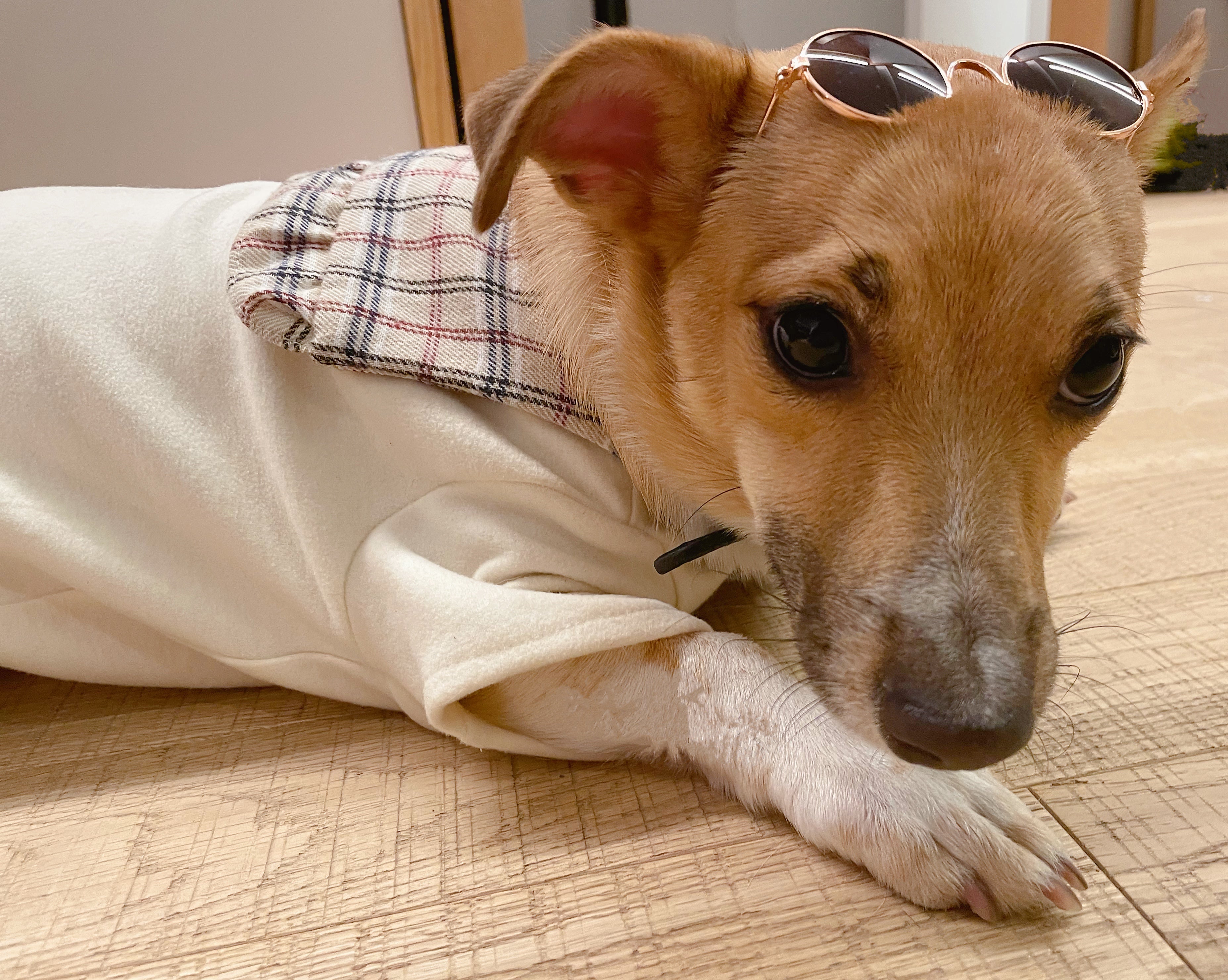 Plaid Creamy T-Shirt with Bear Brooch