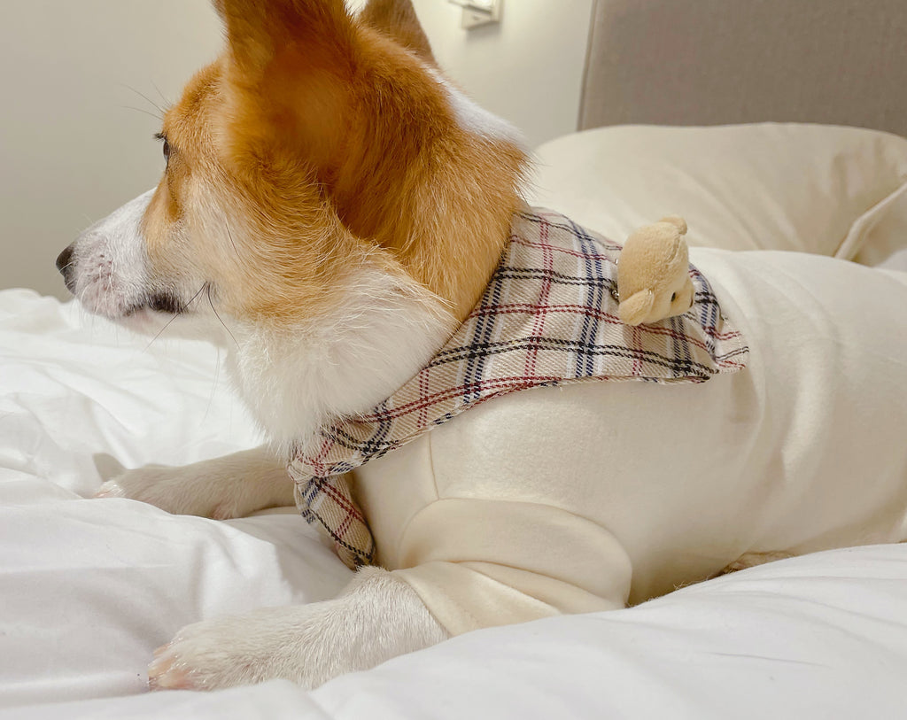 Plaid Creamy T-Shirt with Bear Brooch