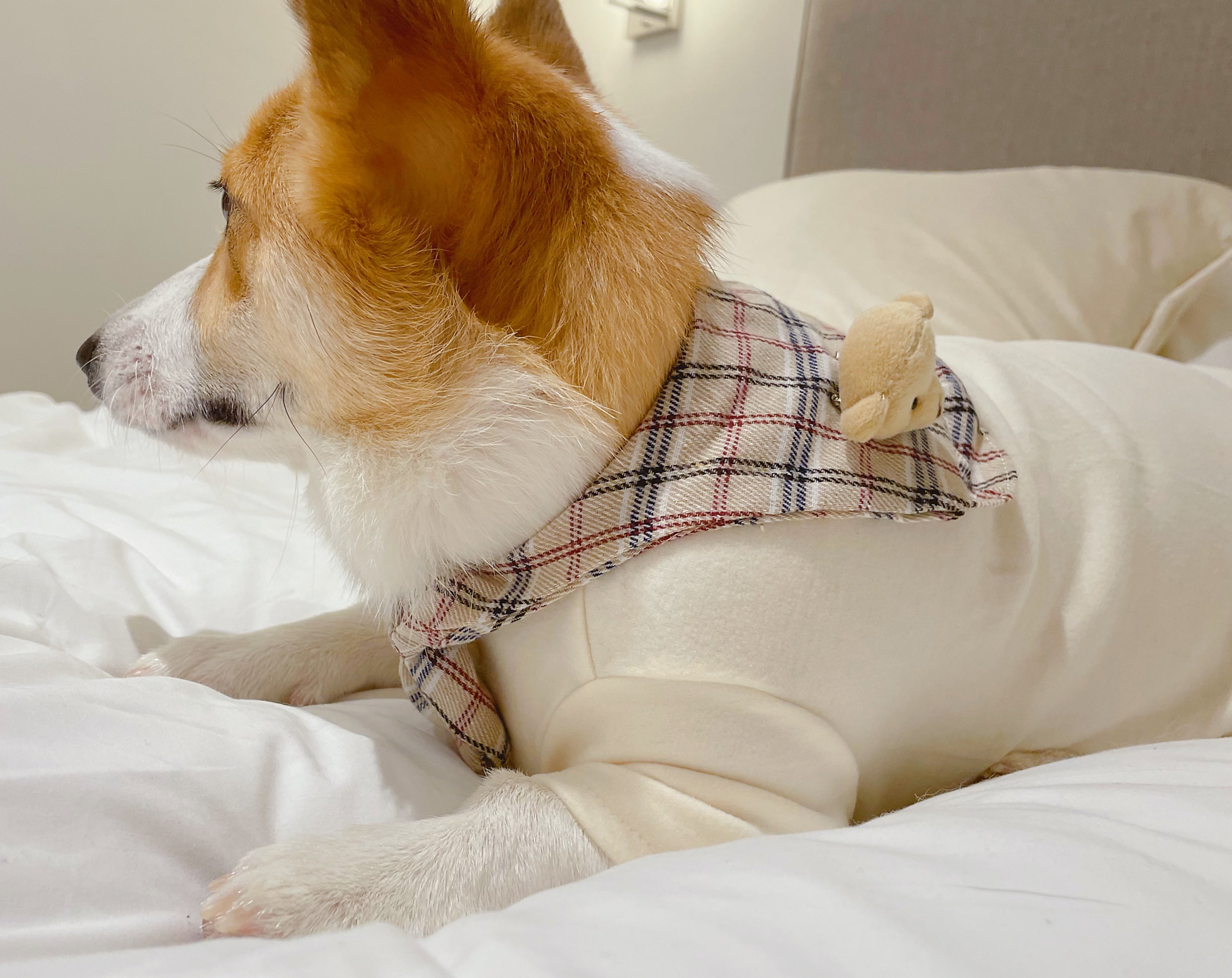 Plaid Creamy T-Shirt with Bear Brooch