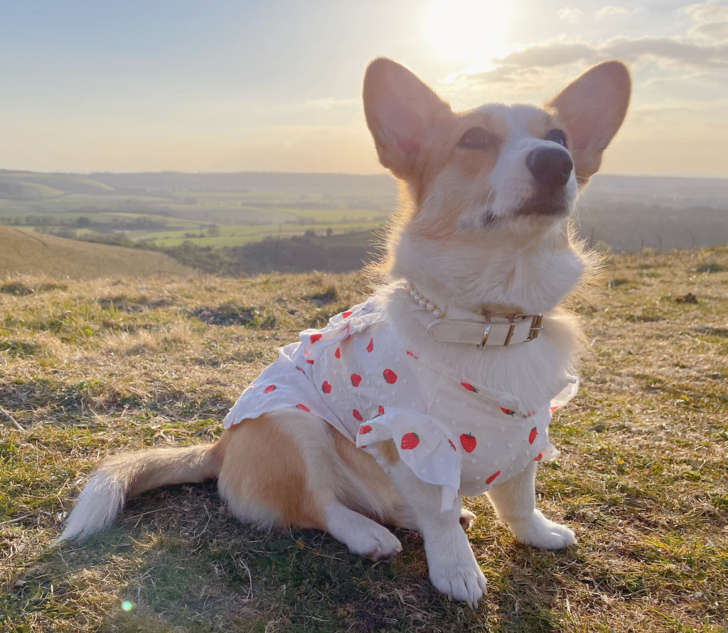 Strawberry Summer Dress