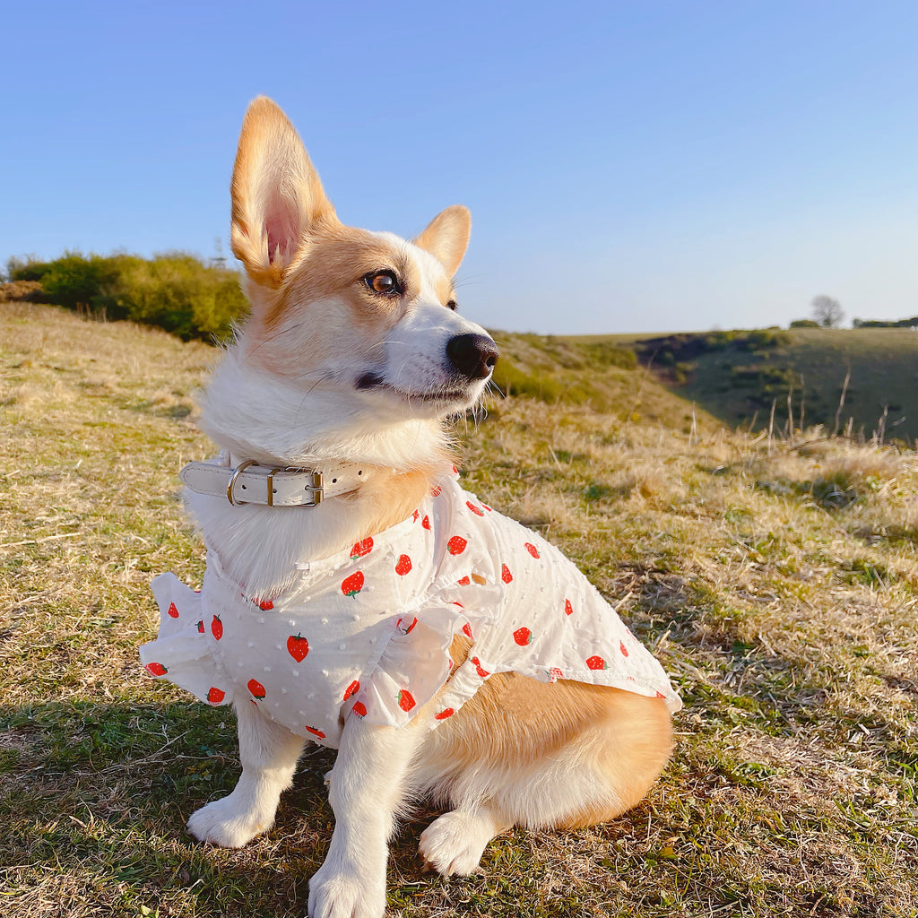 Strawberry Summer Dress