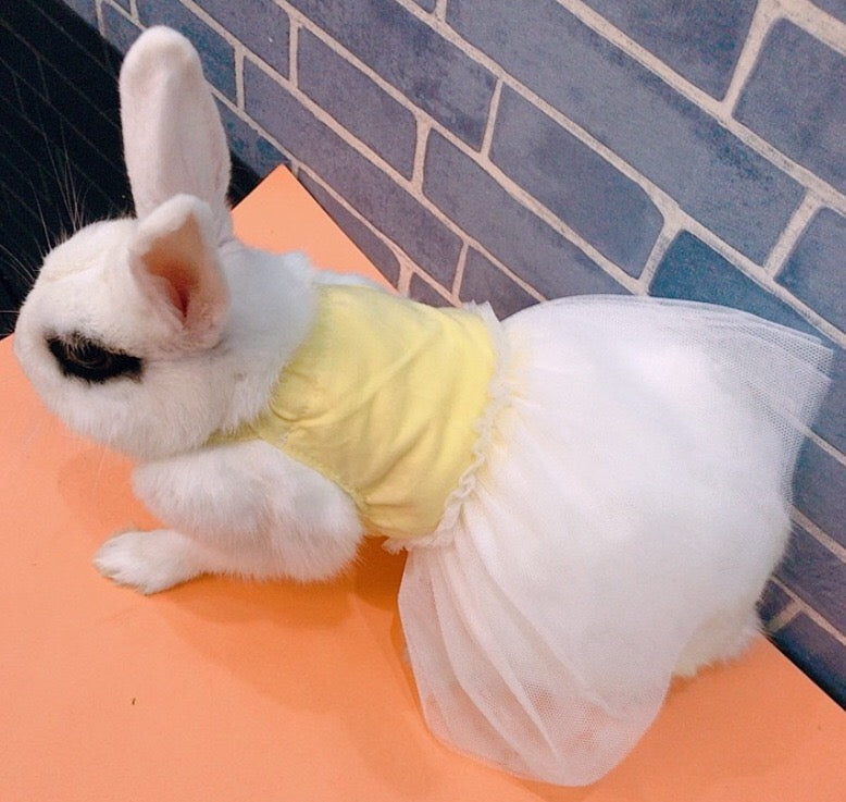 Bunny Dress - YES IT'S FOR YOUR RABBIT!