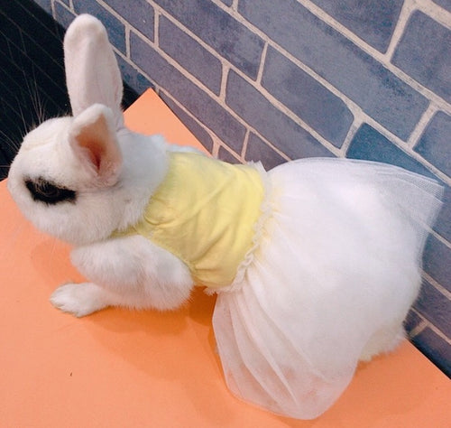 Bunny Dress - YES IT'S FOR YOUR RABBIT!