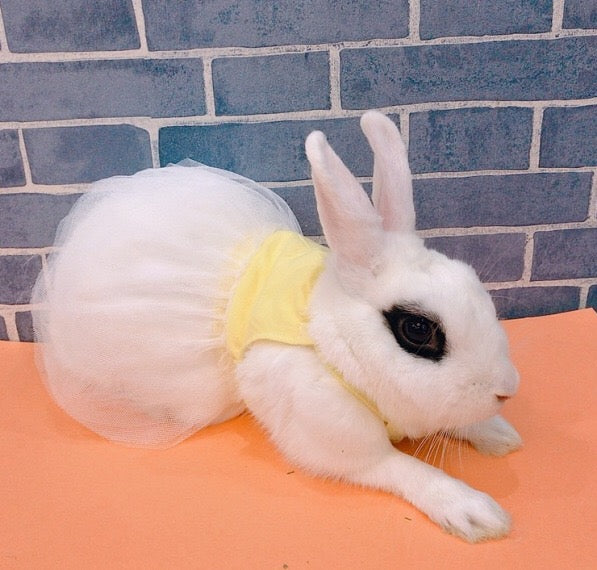 Bunny Dress - YES IT'S FOR YOUR RABBIT!