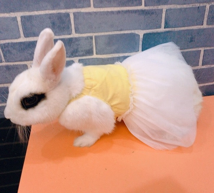 Bunny Dress - YES IT'S FOR YOUR RABBIT!