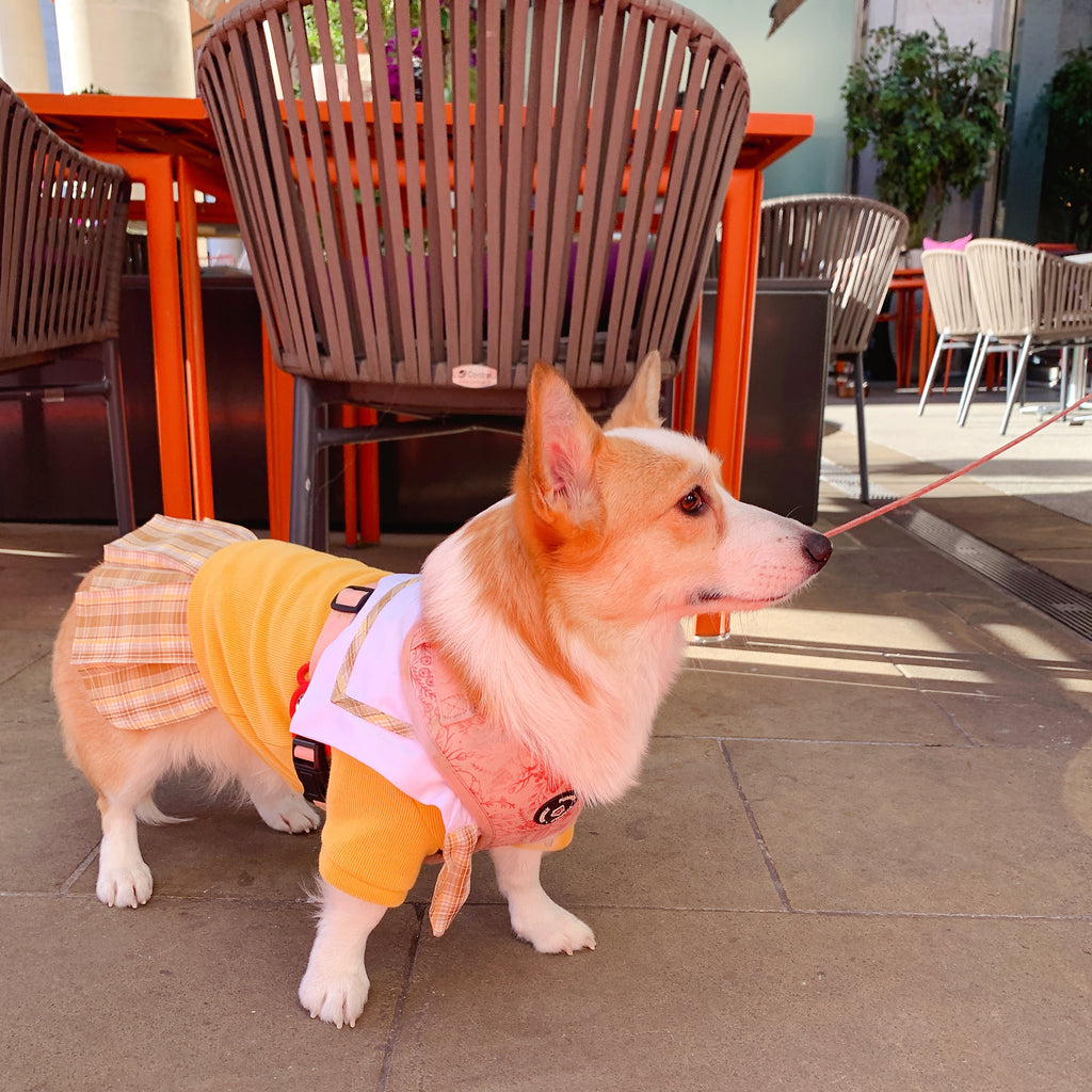 Sailor Uniform Dress Dog