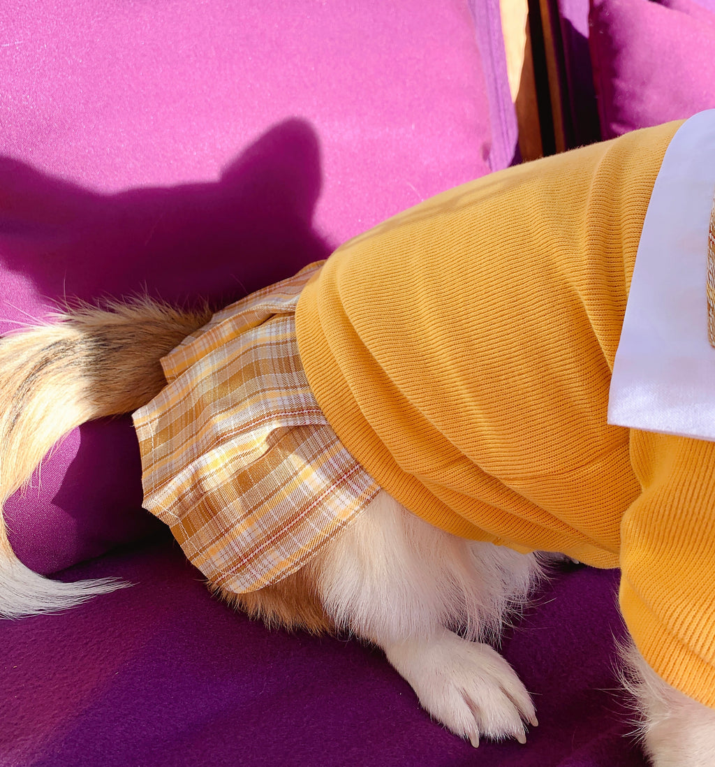 School Uniform | Sailor Dress for Cats & Dogs