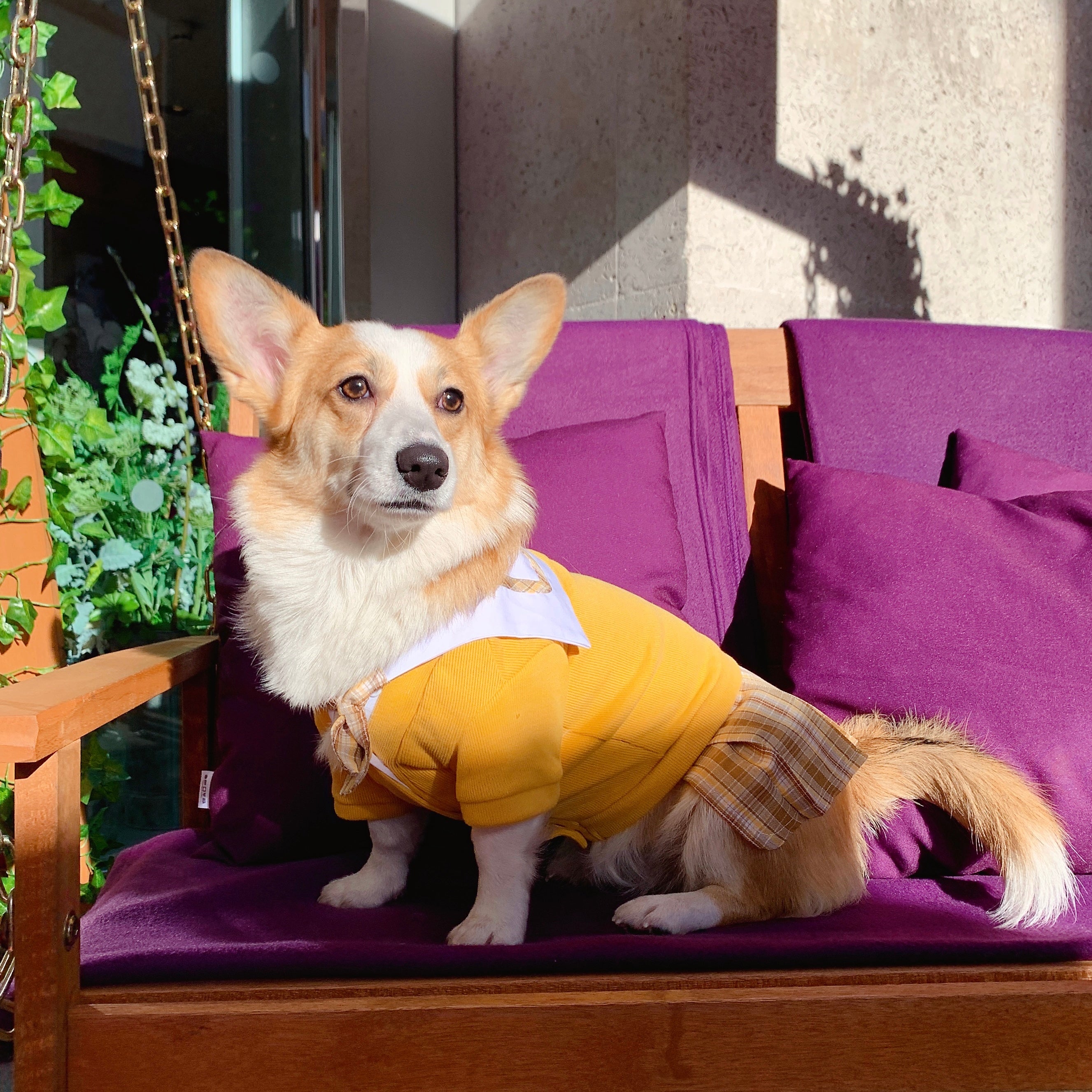 School Uniform | Sailor Dress for Cats & Dogs
