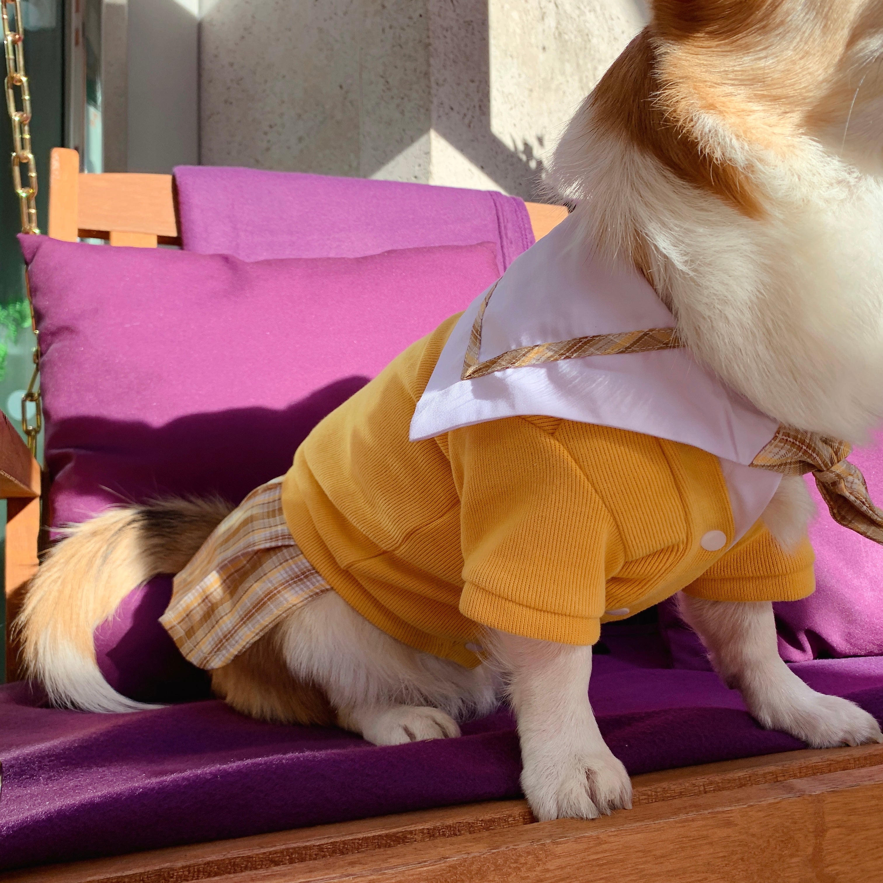 School Uniform | Sailor Dress for Cats & Dogs