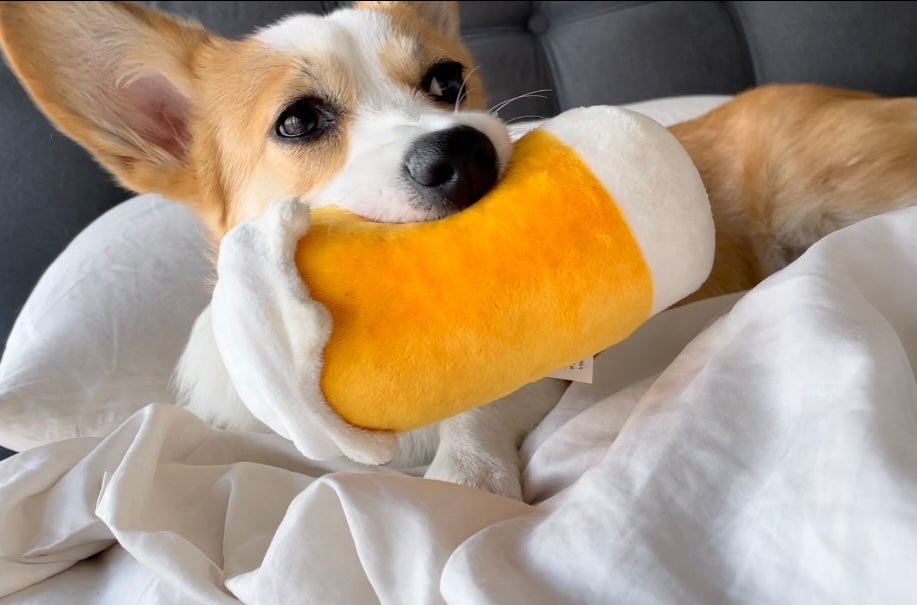 Foodies’s Heaven Squeaky Toys Bundle